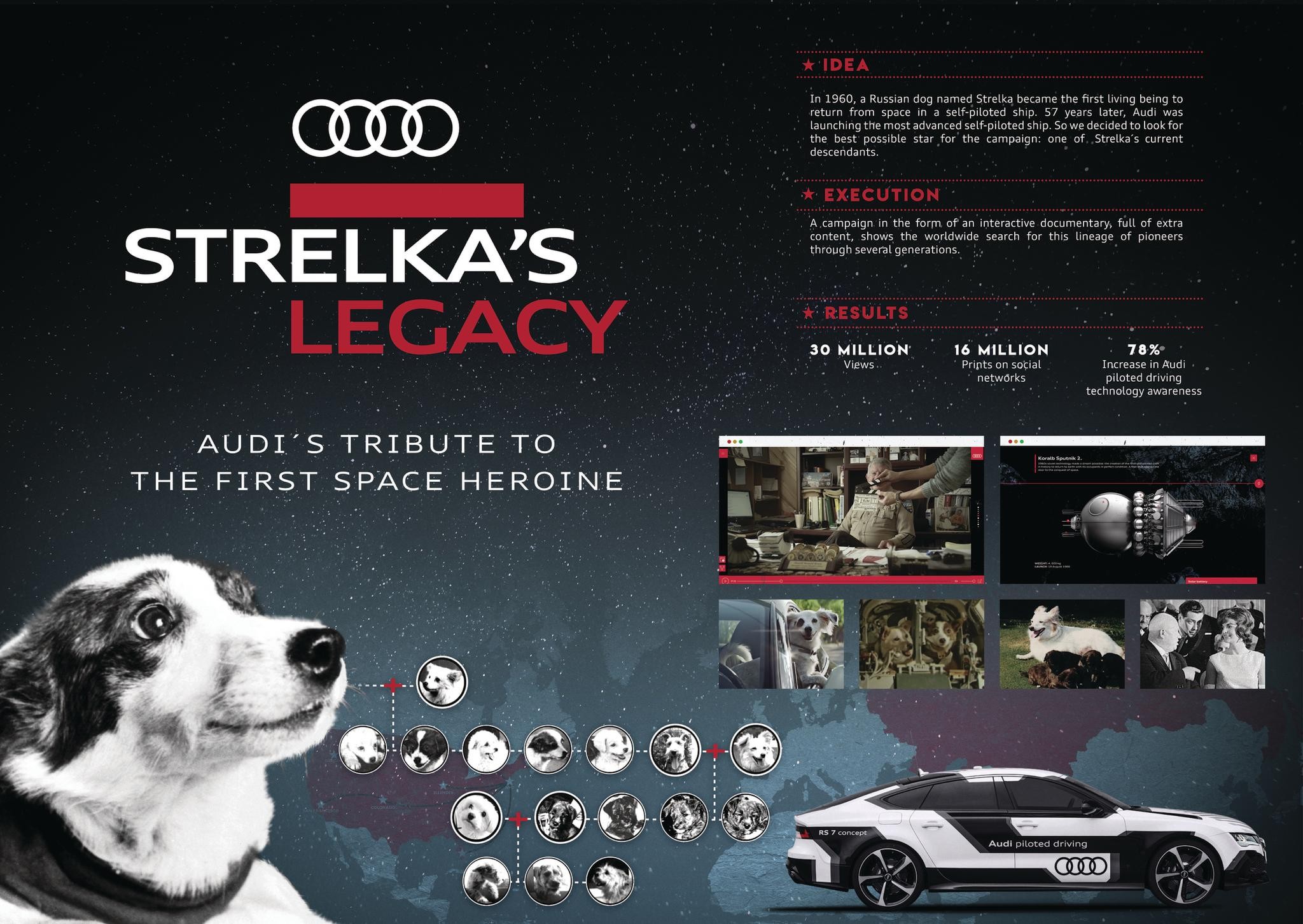 Strelka's Legacy