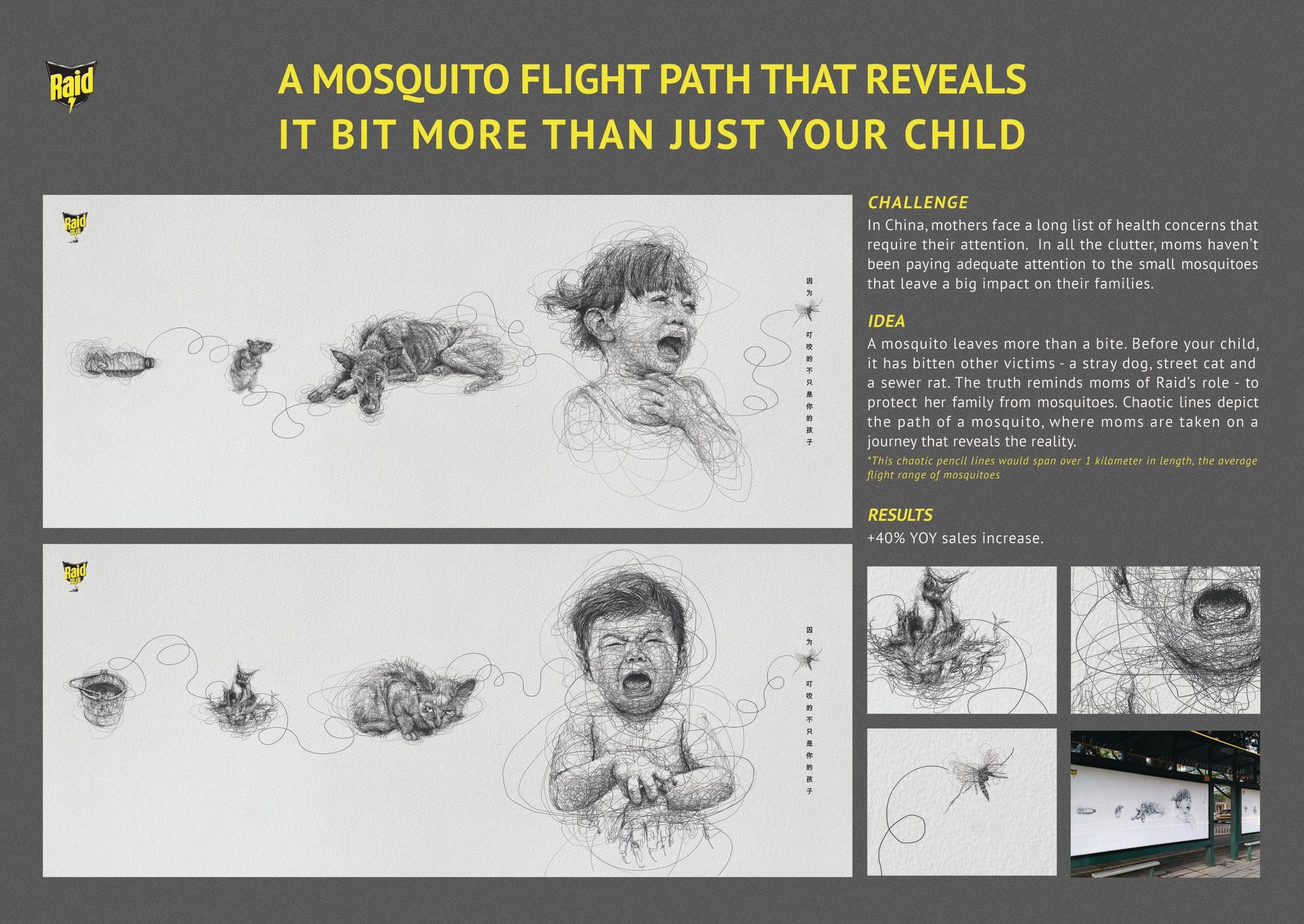 Mosquito Flight Path