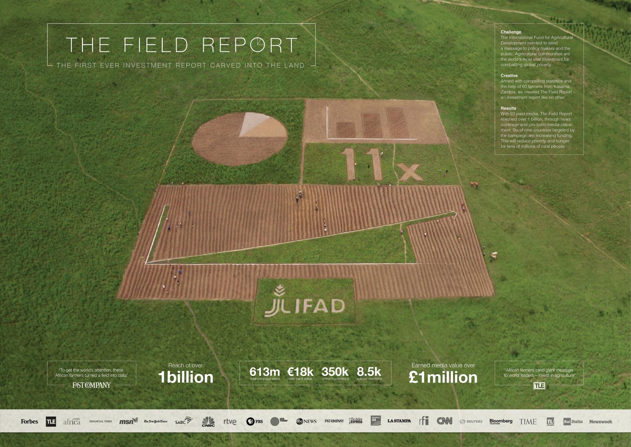 THE FIELD REPORT