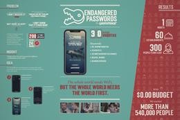 Endangered Passwords