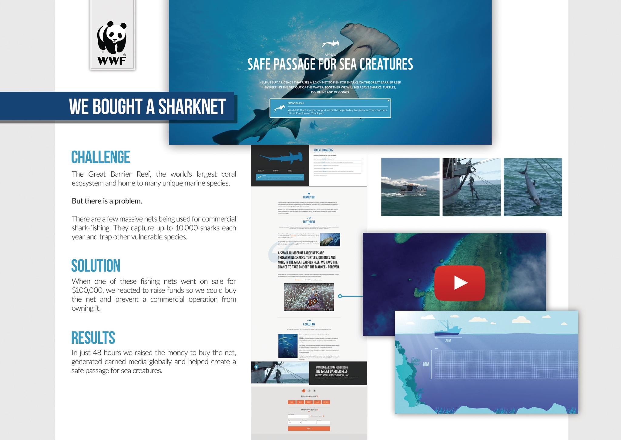 World Wildlife Fund "Safe Passage for Sea Creatures"