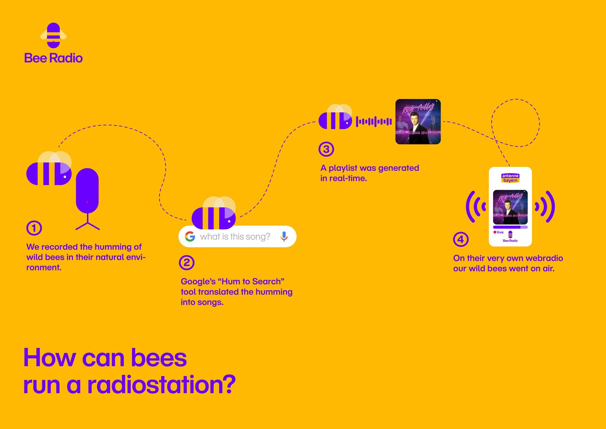 Bee Radio