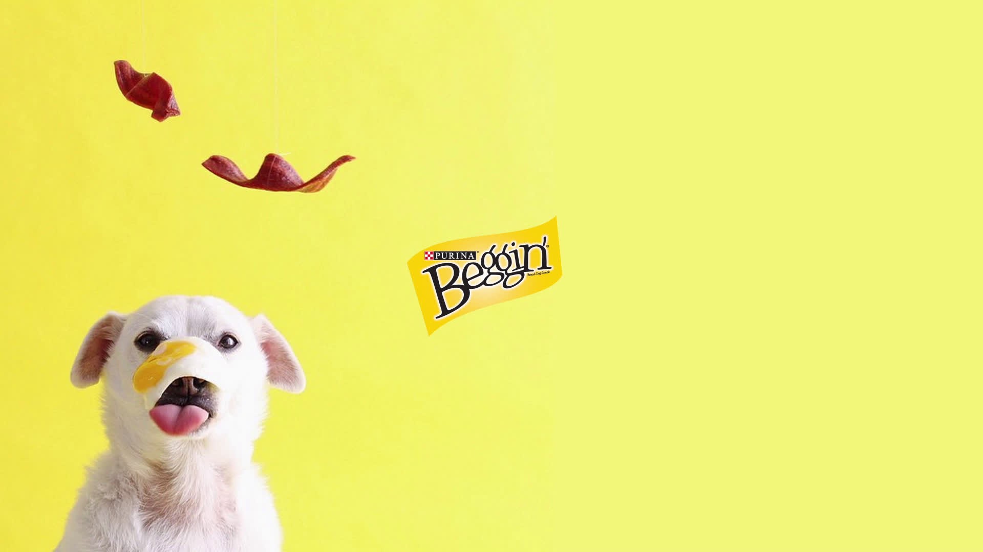 PURINA - BEGGIN GRAMMY’S CAMPAIGN