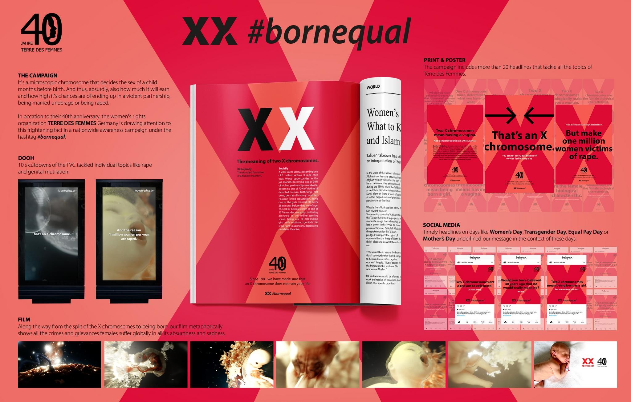 Born Equal – The X Chromosome