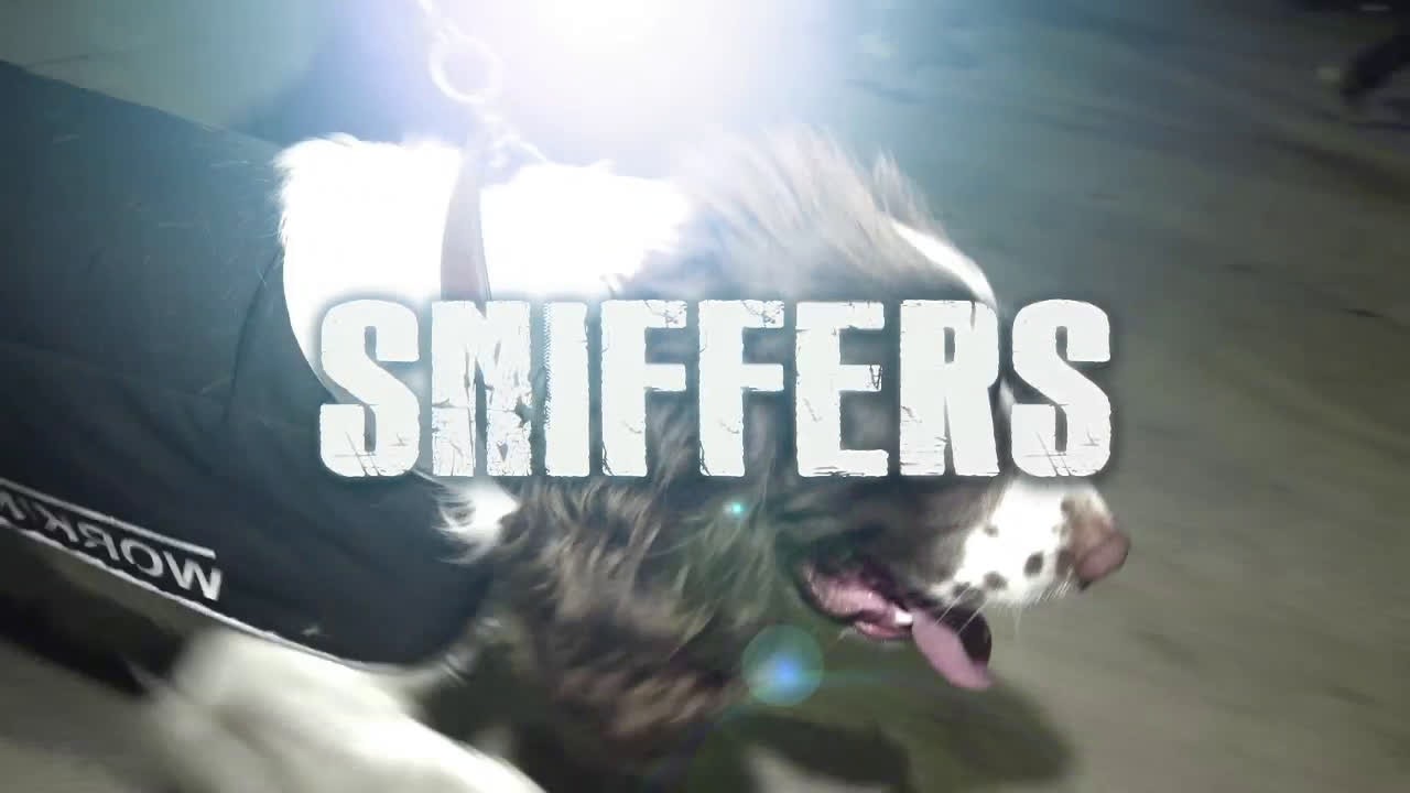 SNIFFERS