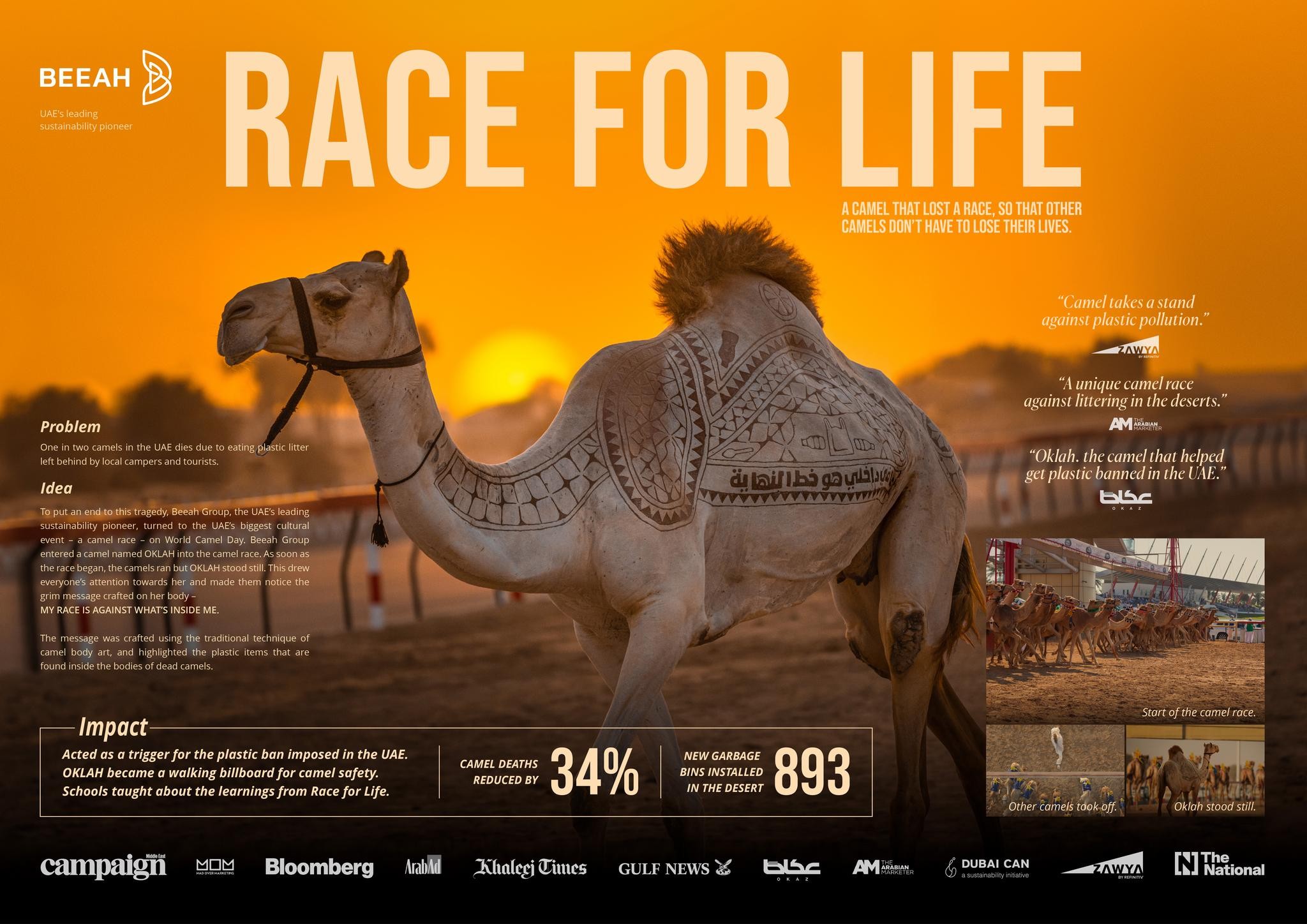 Race for Life Campaign THE WORK