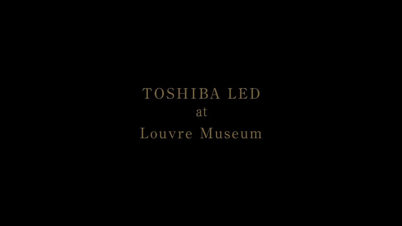 TOSHIBA LED