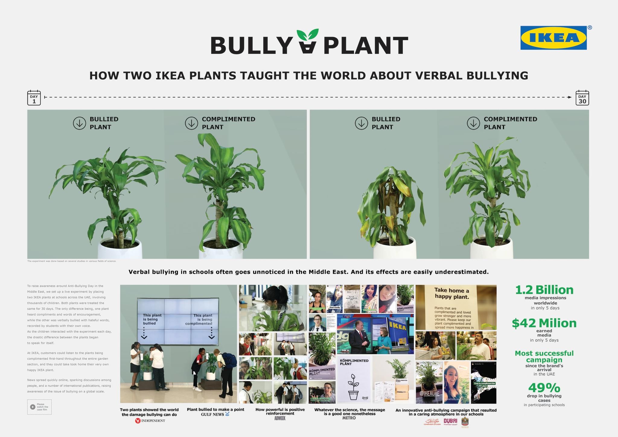 Bully a Plant