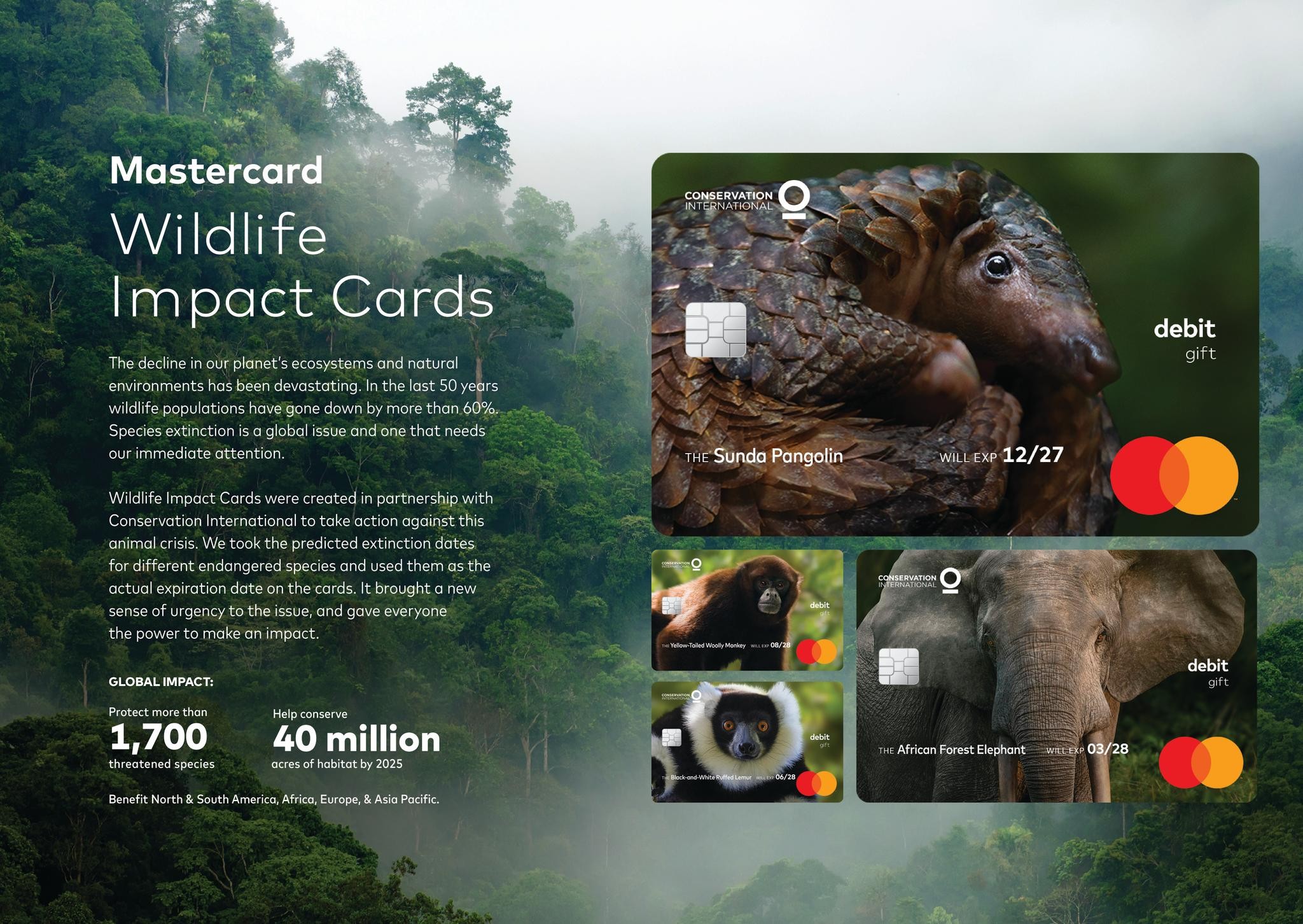 Wildlife Impact Card