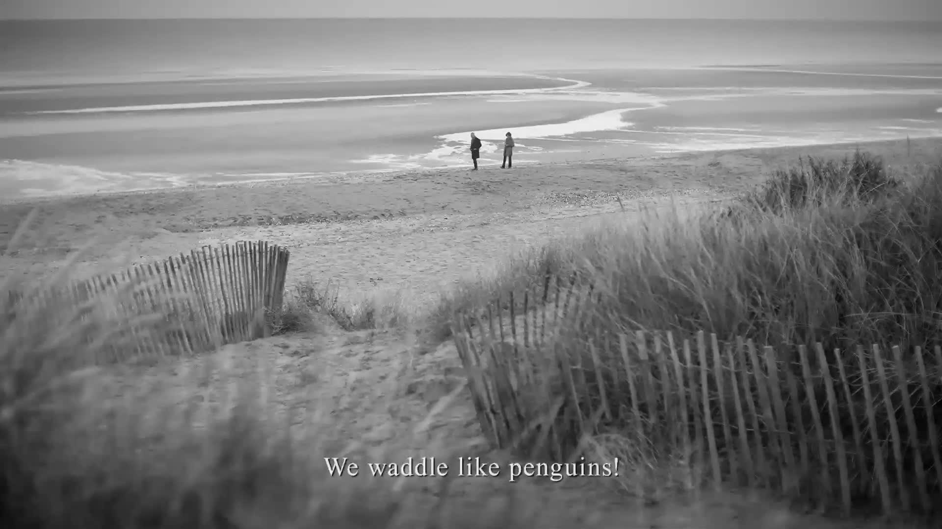 penguin-campaign-the-work