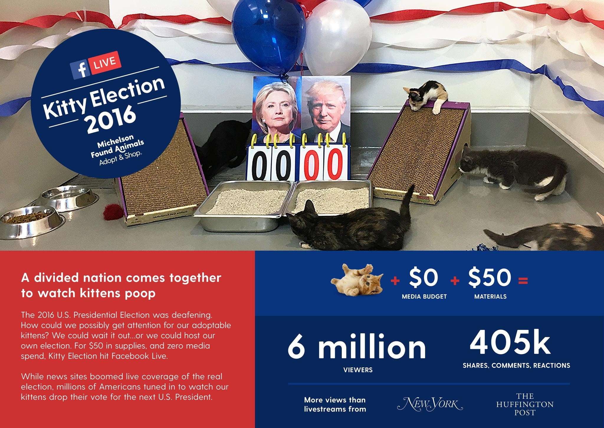 KITTY ELECTION