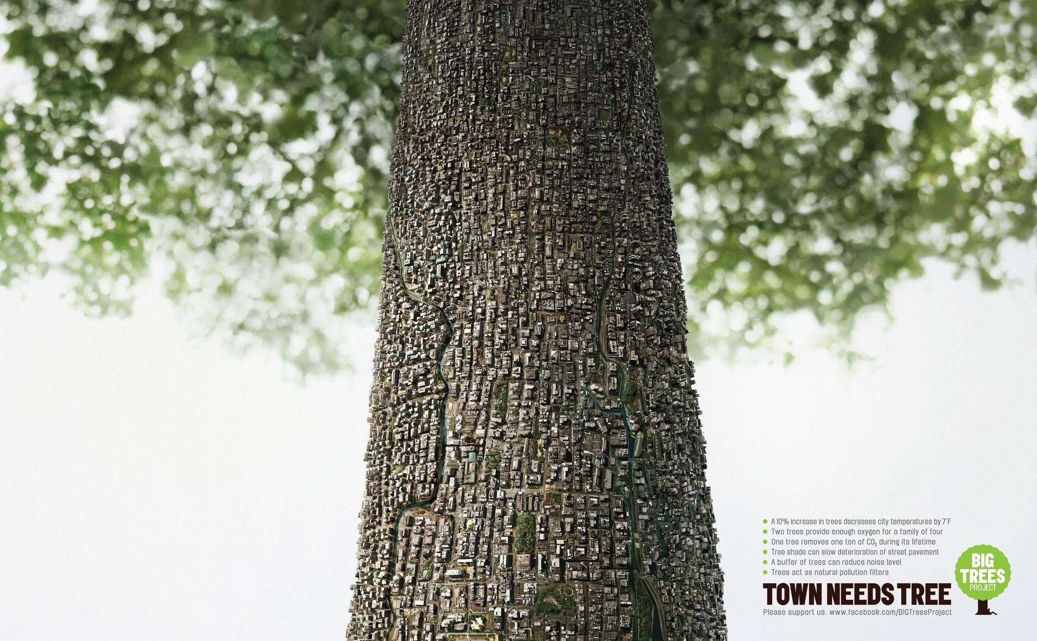 TOWN NEEDS TREE