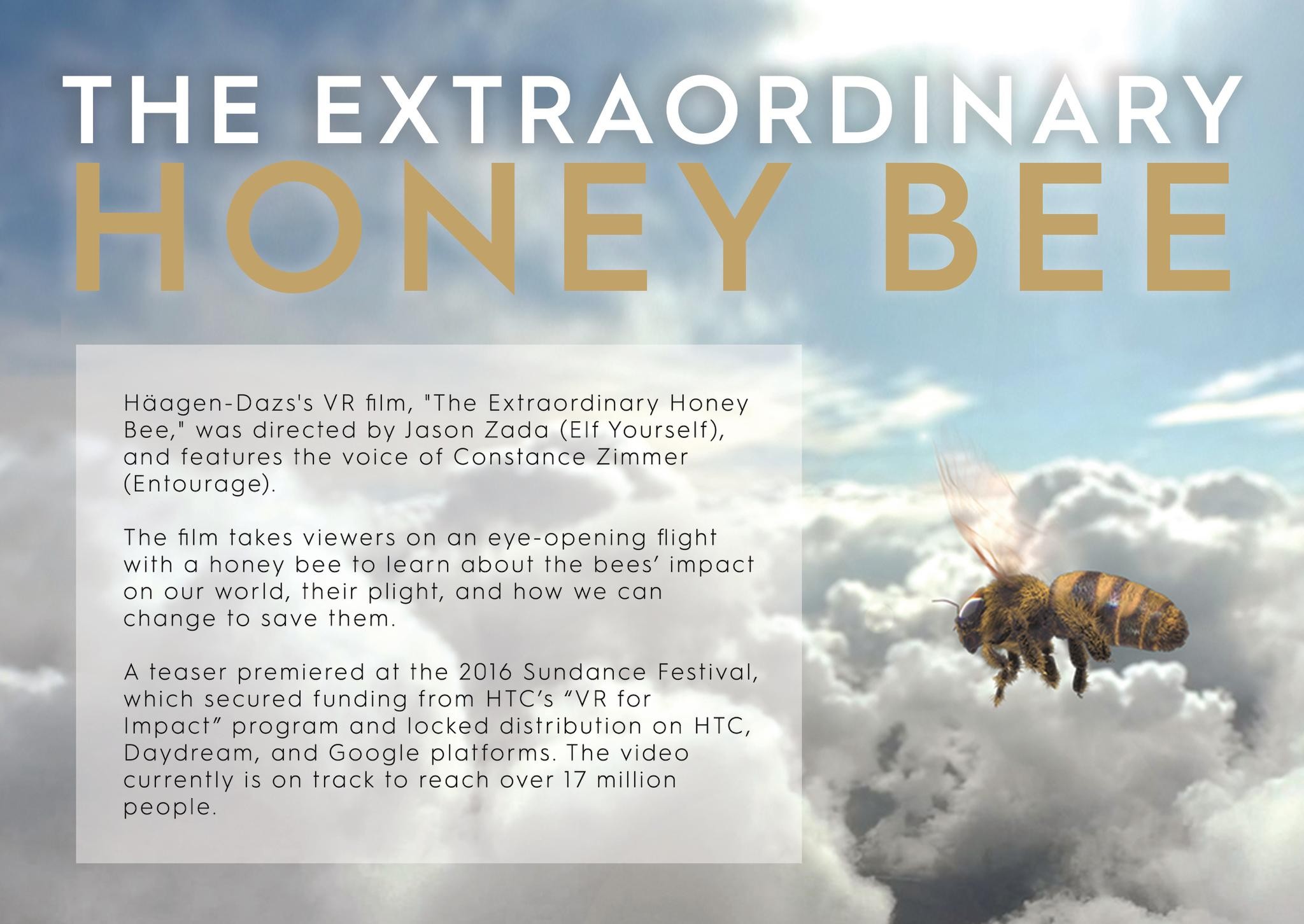 The Extraordinary Honey Bee