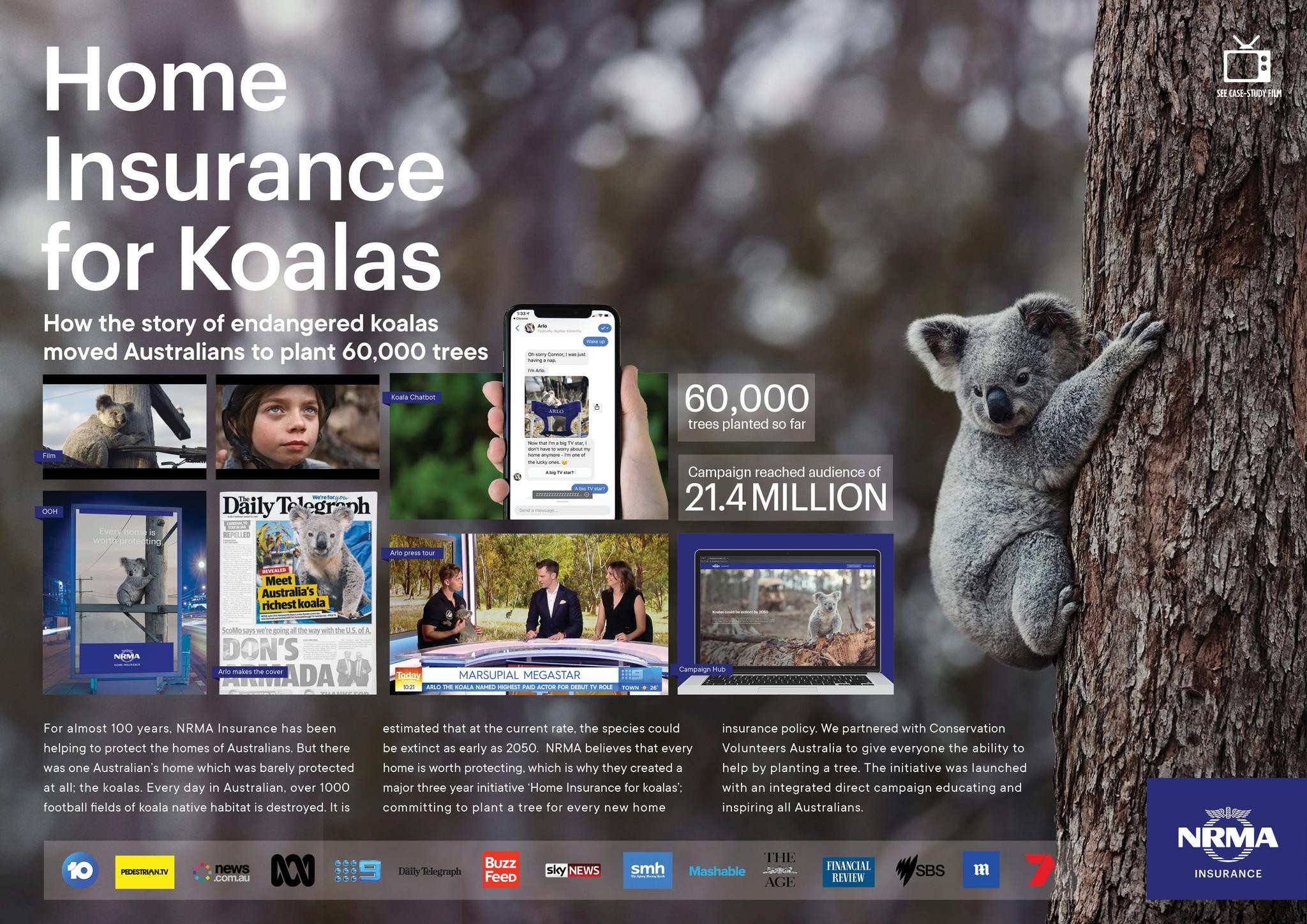 Home Insurance for Koalas
