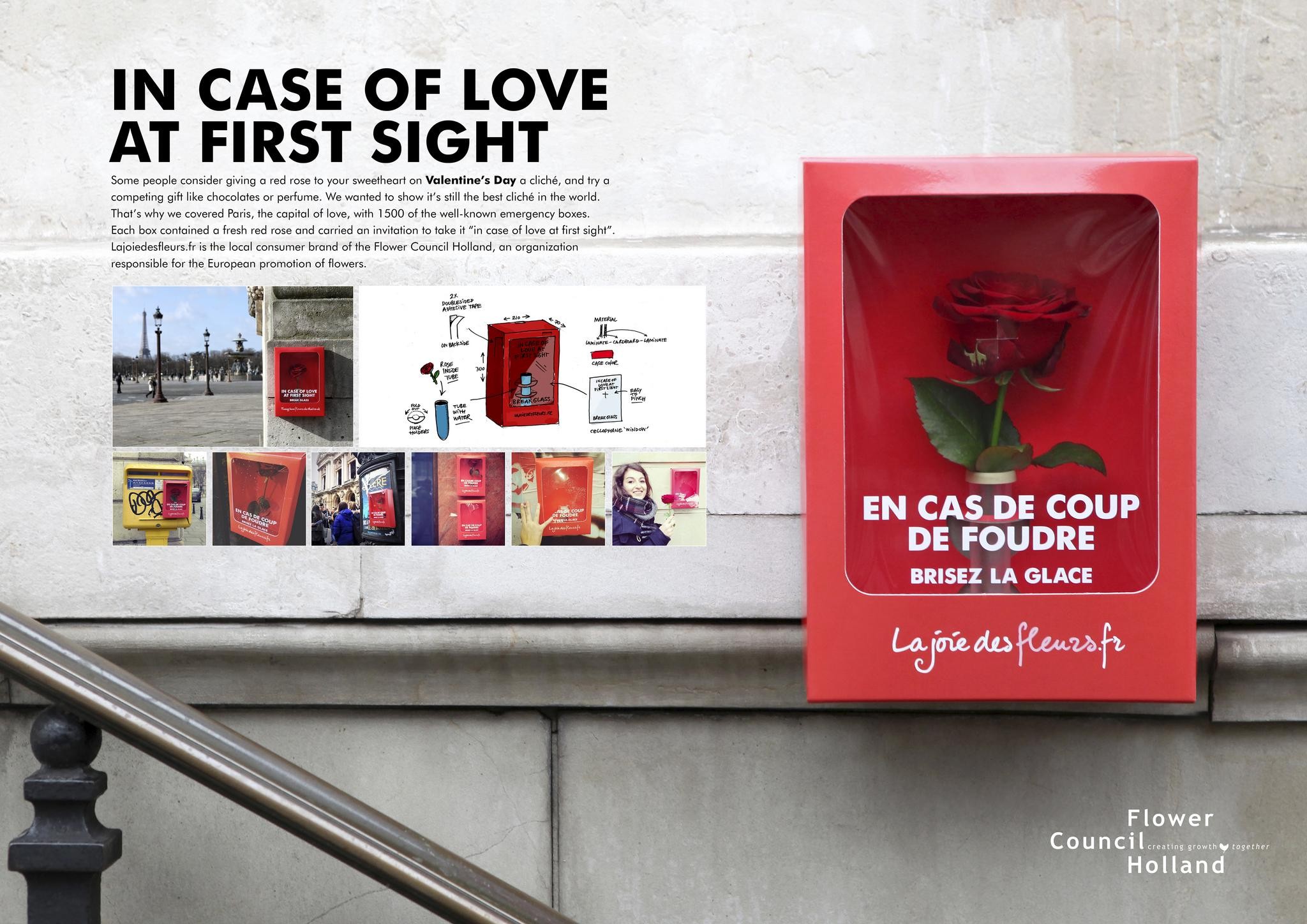 IN CASE OF LOVE AT FIRST SIGHT