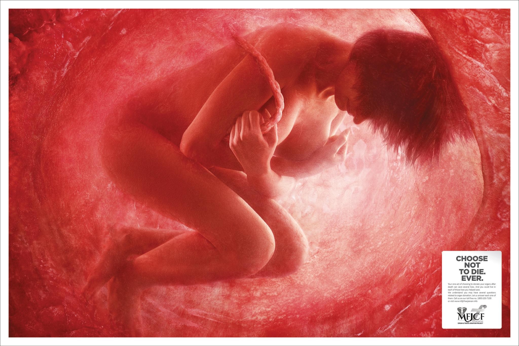 FEMALE IN WOMB