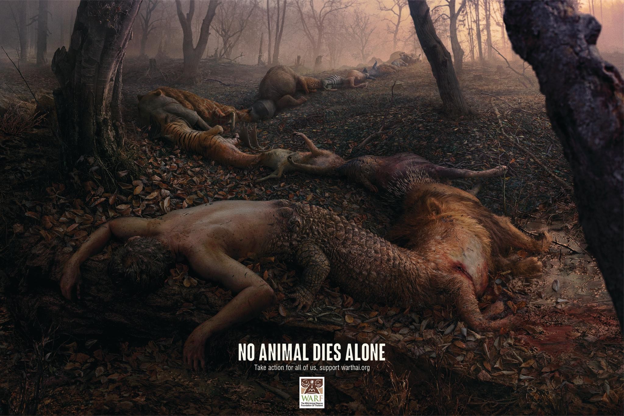 No Animal Dies Alone