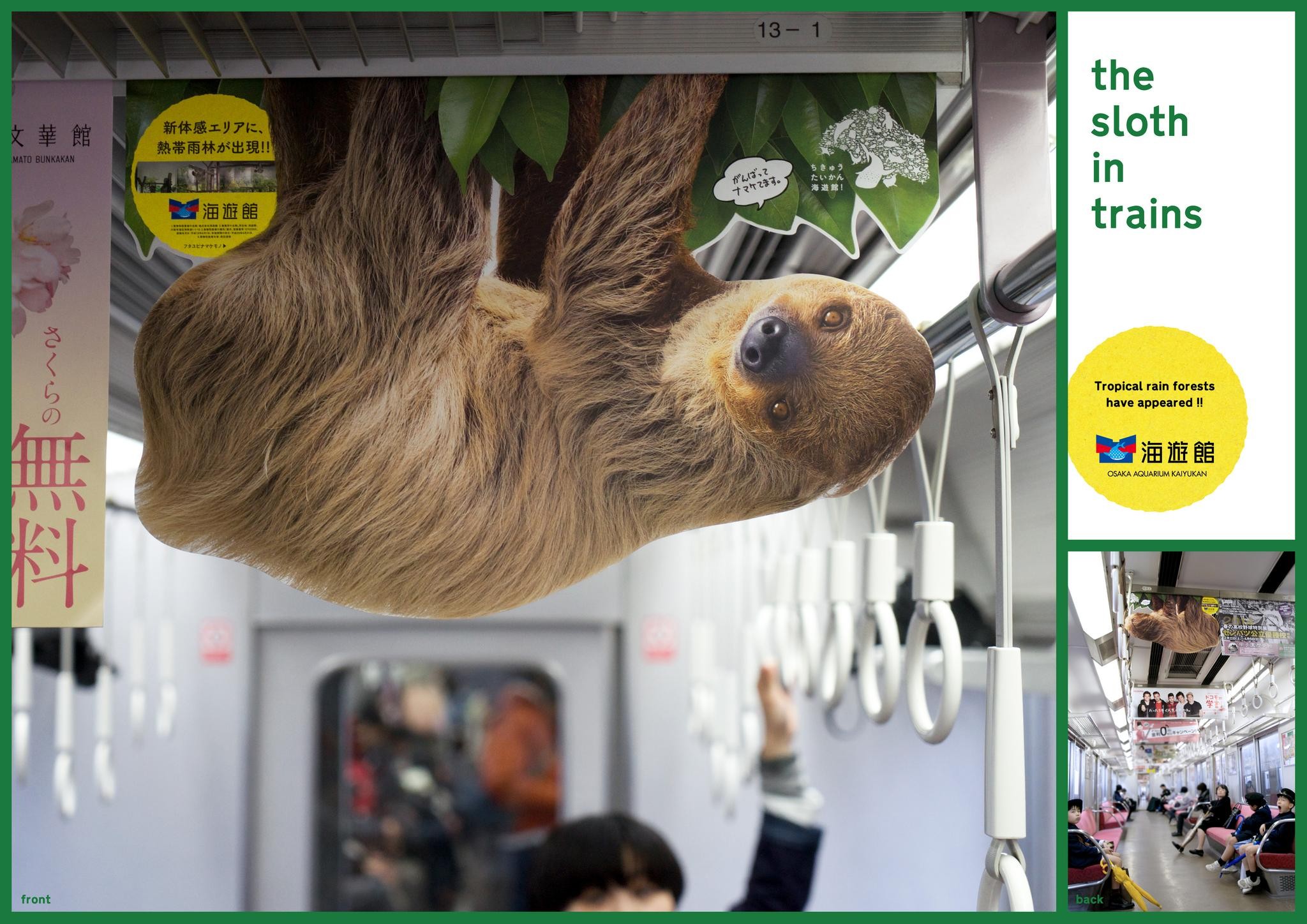 THE SLOTH IN TRAINS