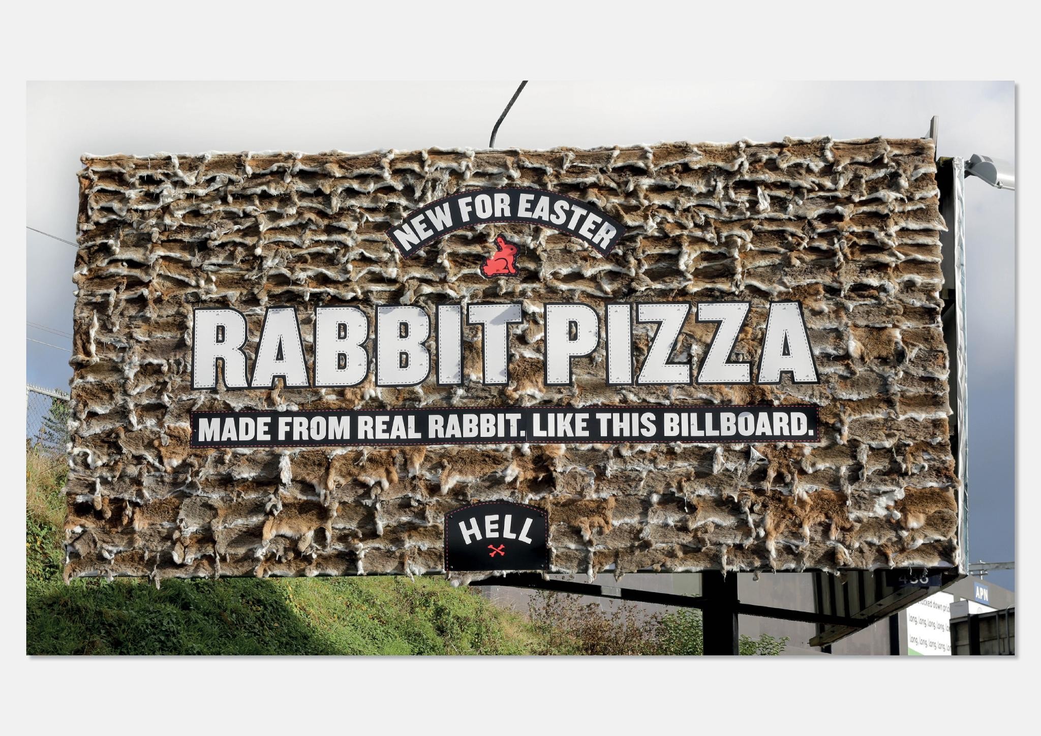 REAL RABBIT, JUST LIKE THIS BILLBOARD