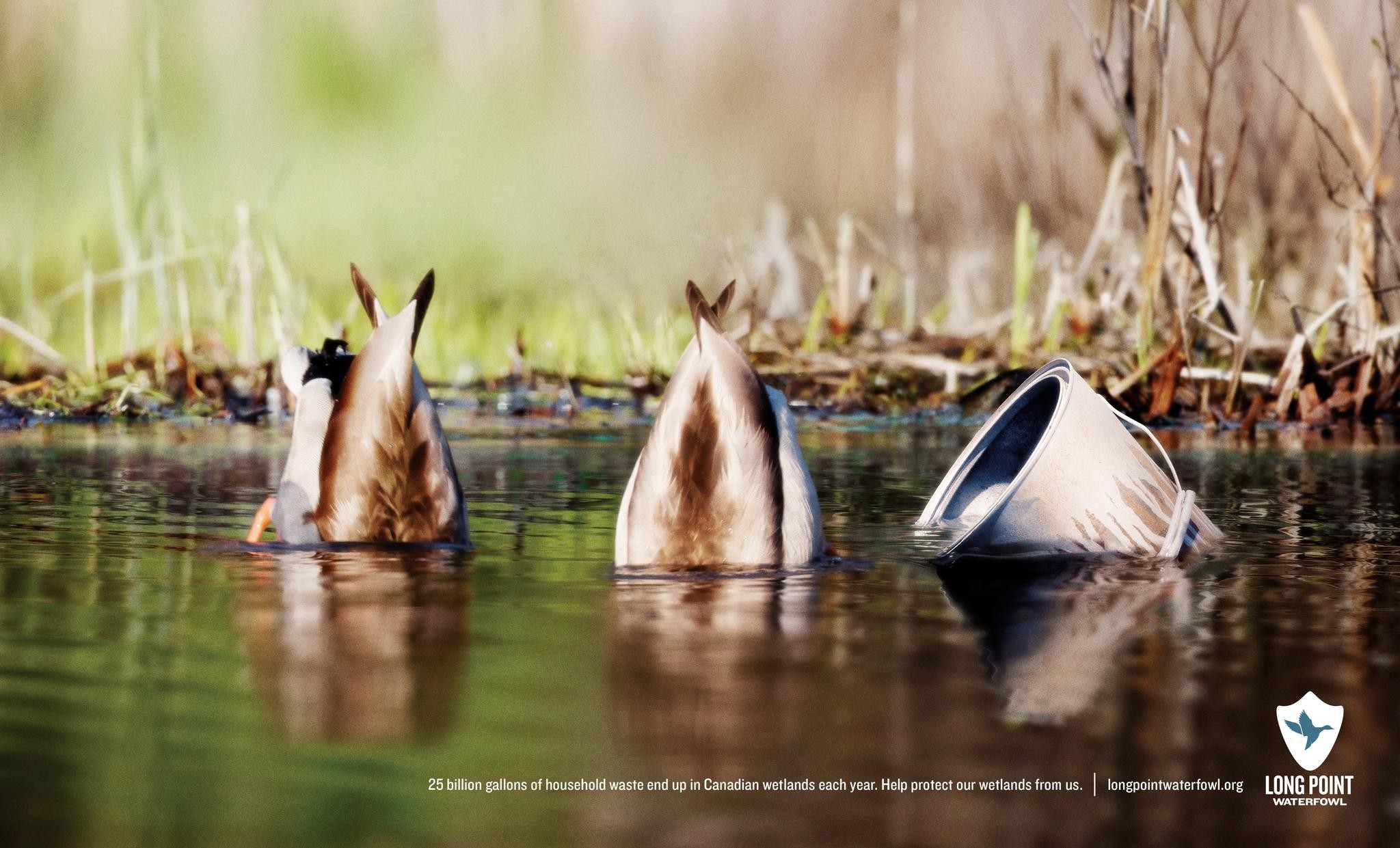 WETLANDS CONSERVATION AWARENESS