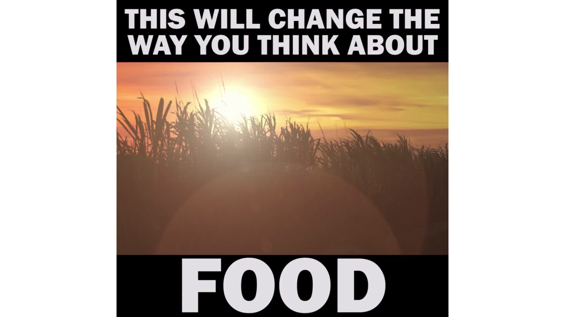 SAVE THE FOOD: Change The Way You Think About Food