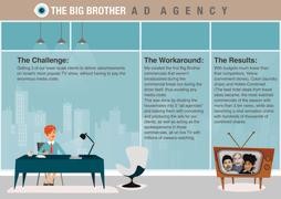 THE BIG BROTHER AGENCY