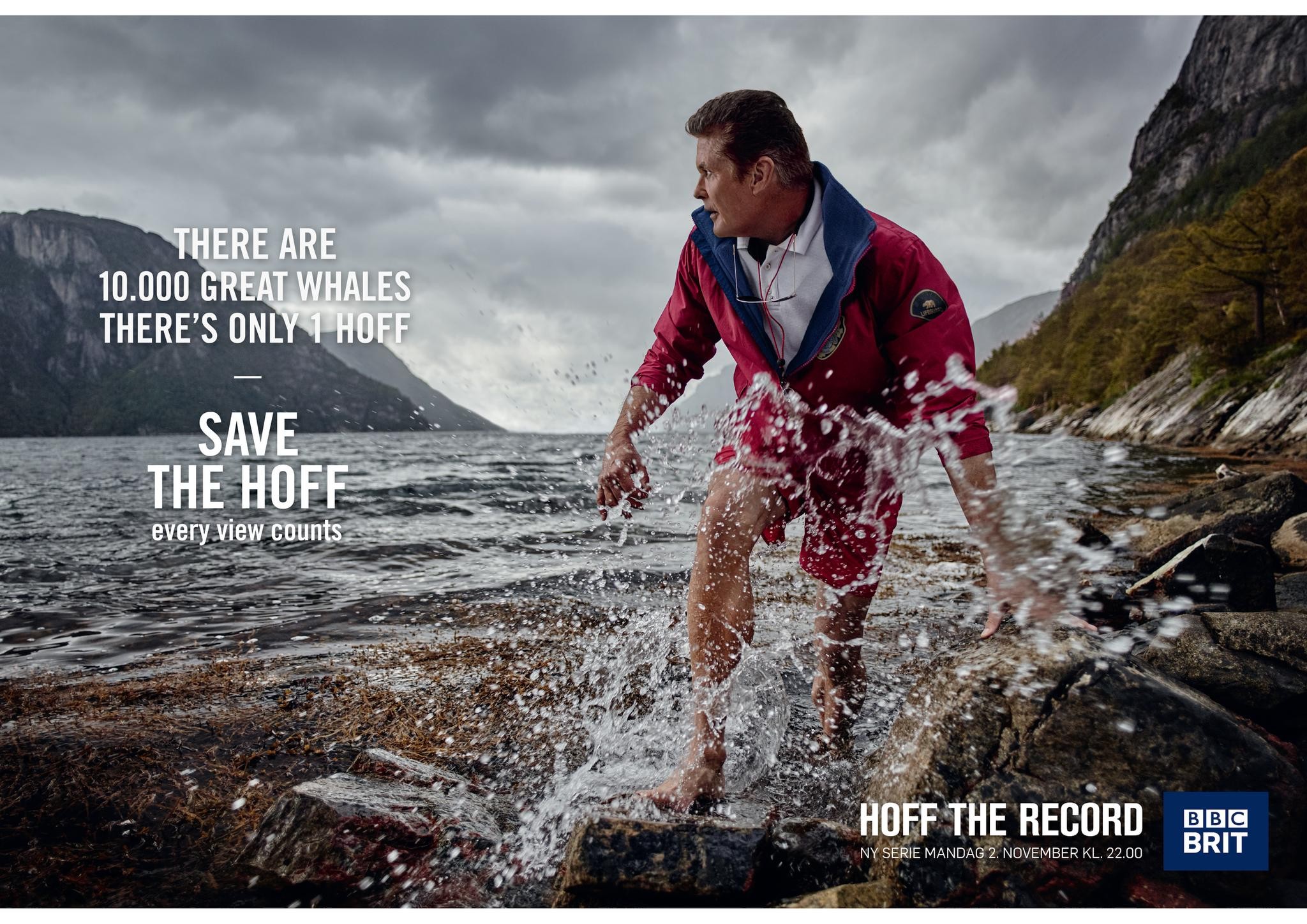 SAVE THE HOFF - WHALES