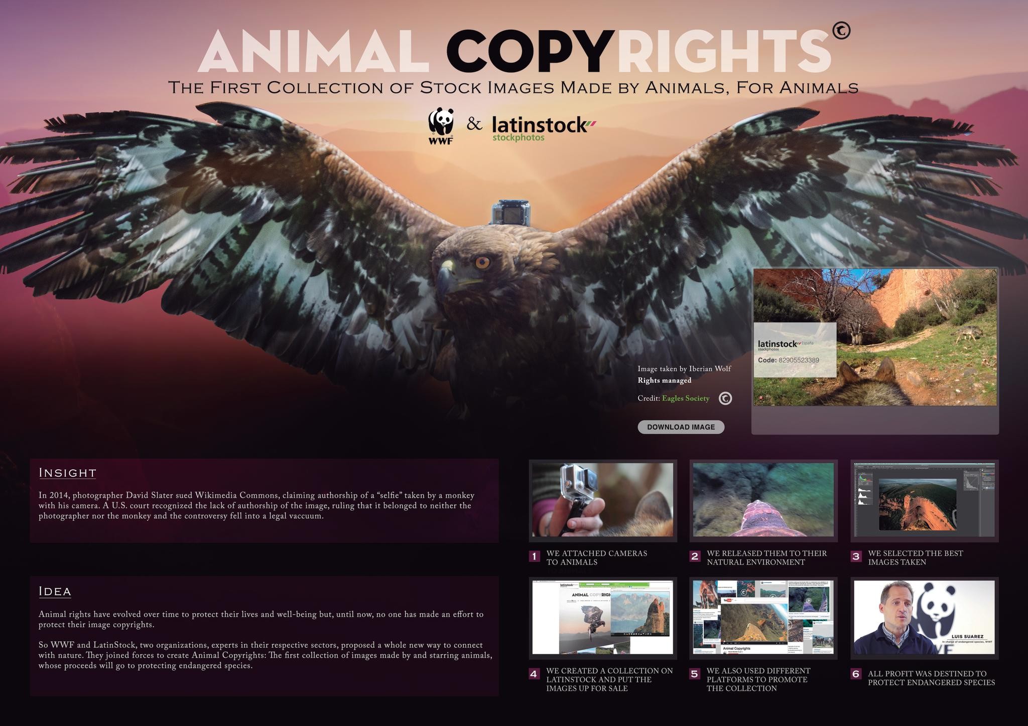 ANIMAL COPYRIGHTS (THE FIRST IMAGE BANK FOR WWF)