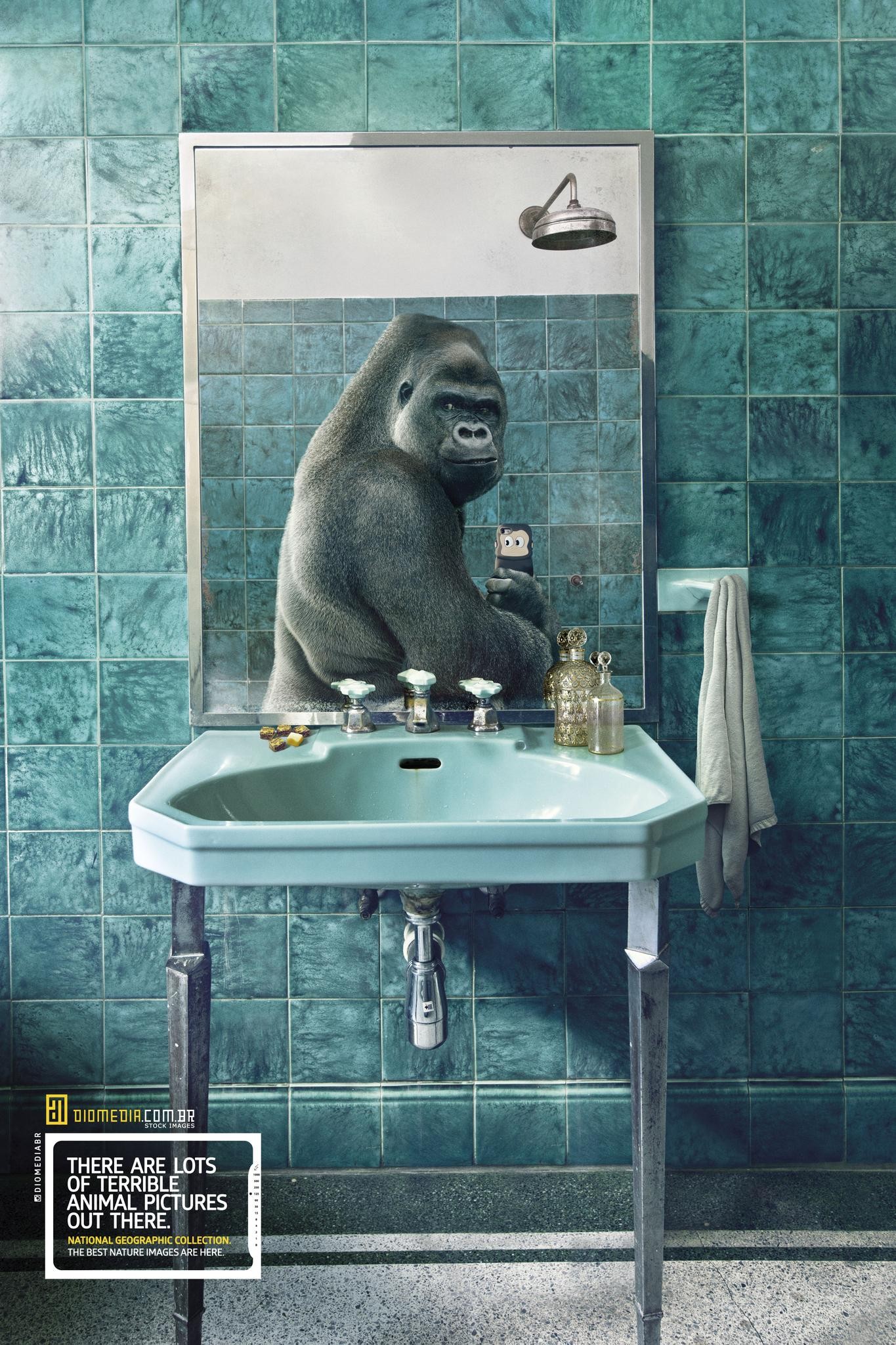 NEW COLLECTION NATIONAL GEOGRAPHIC IMAGES