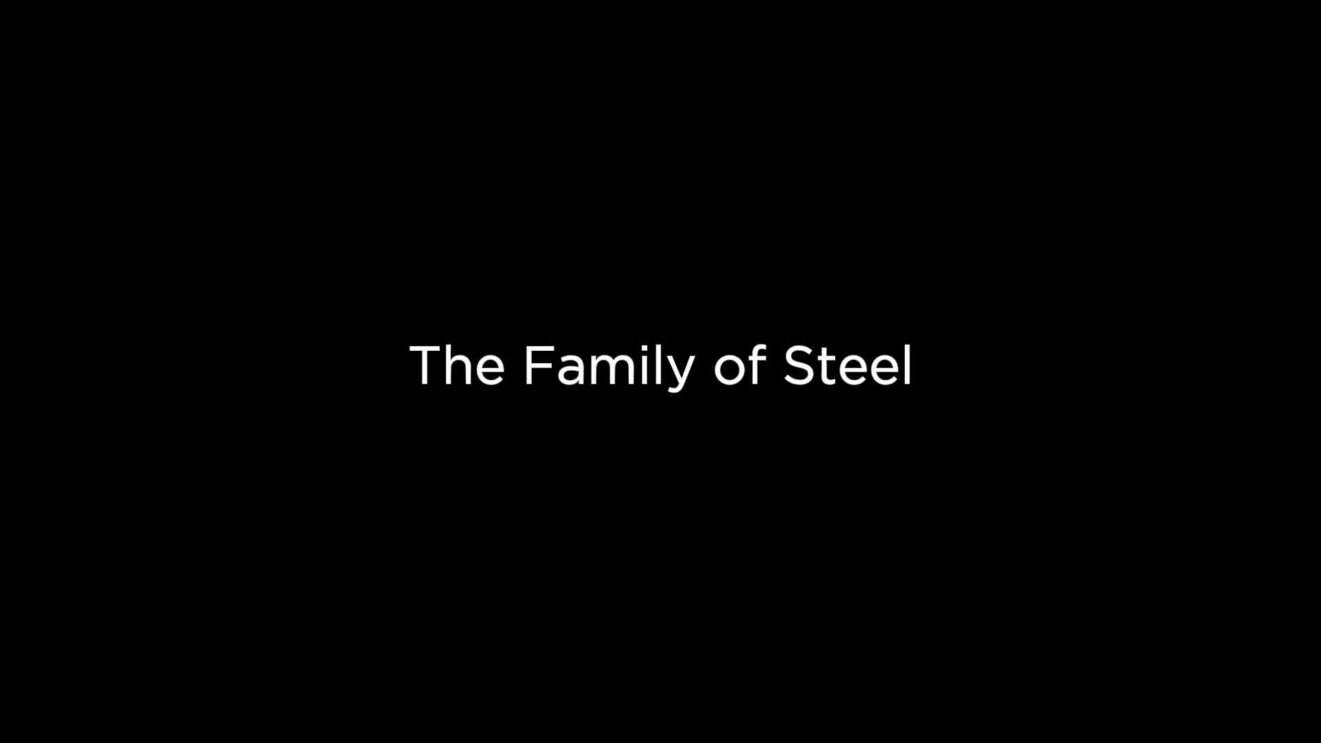 THE FAMILY OF STEEL