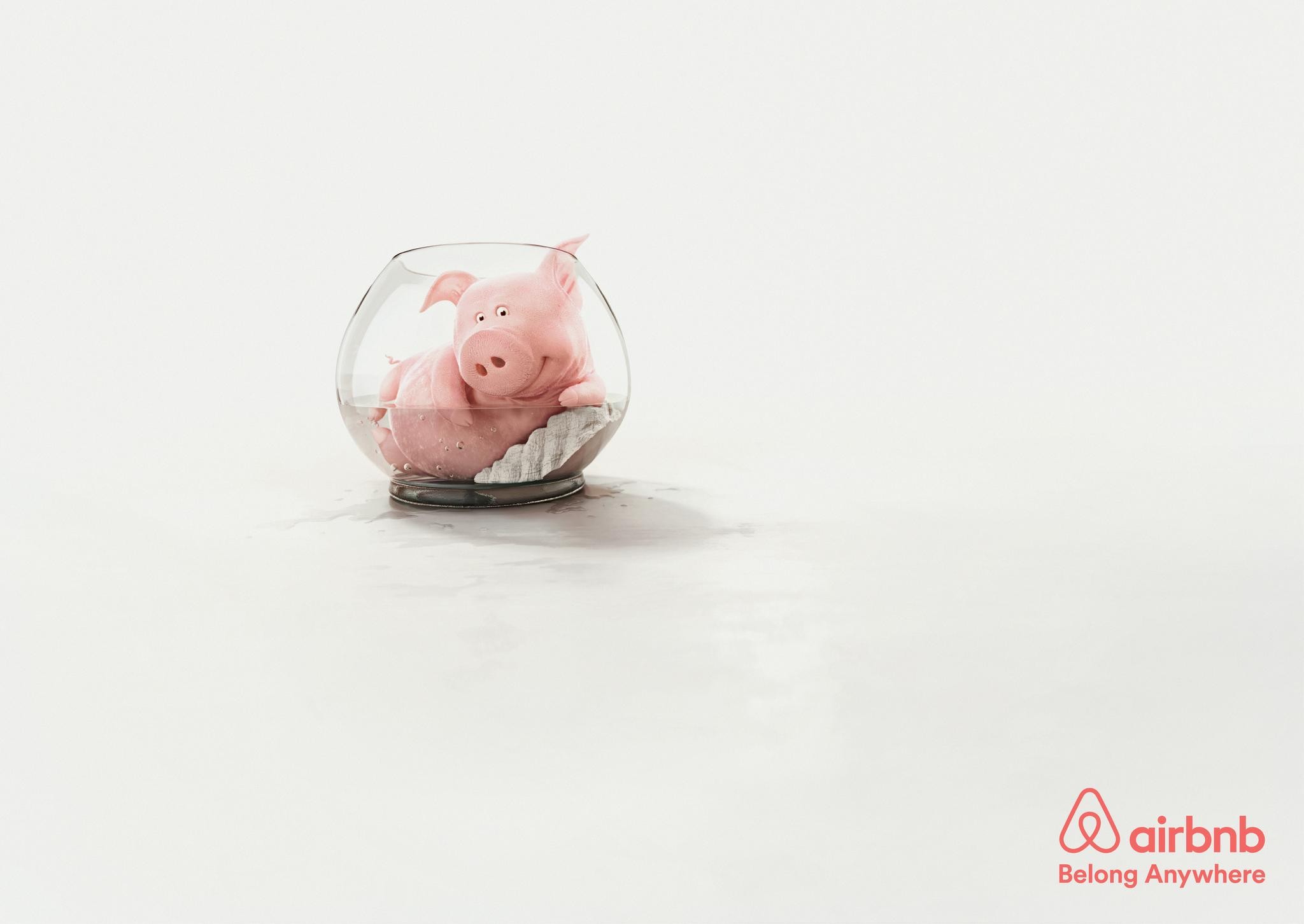 AIRBNB ANIMALS | PIG