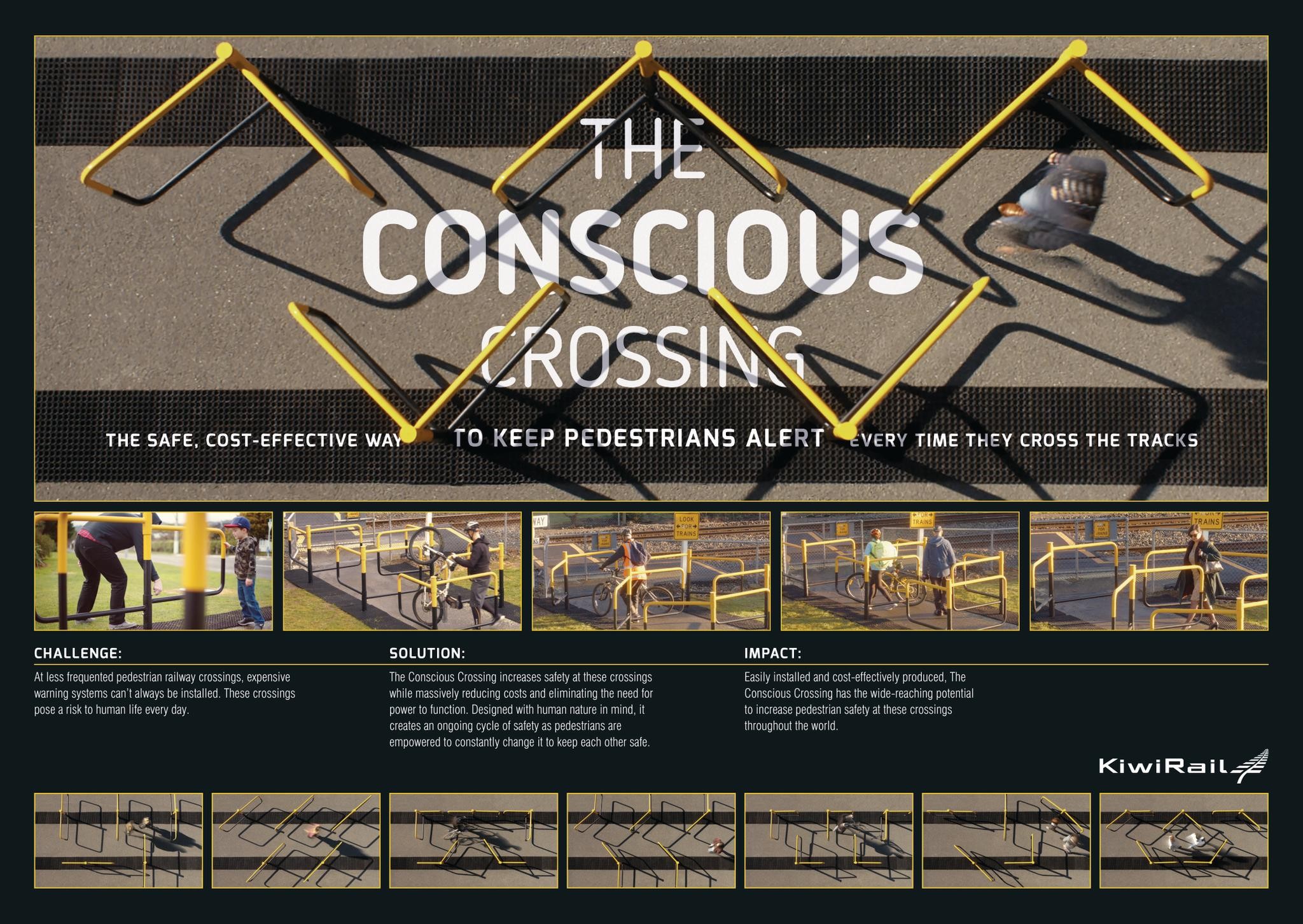 The Conscious Crossing