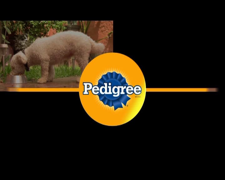 BLOAT BOX PEDIGREE