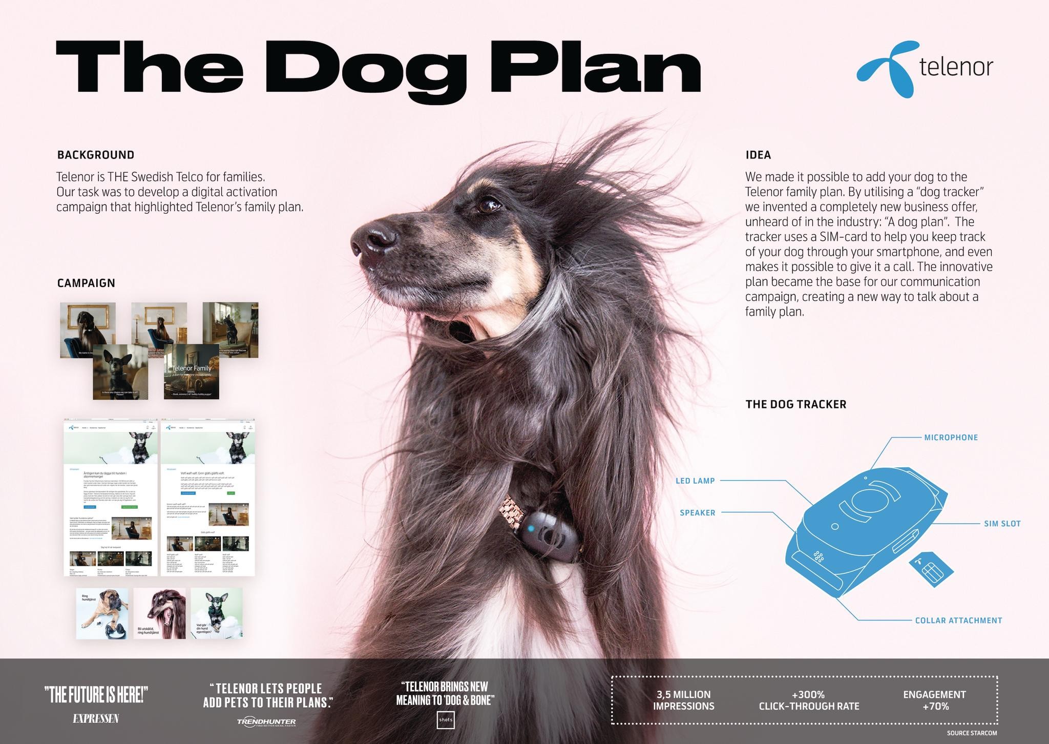 The Dog Plan