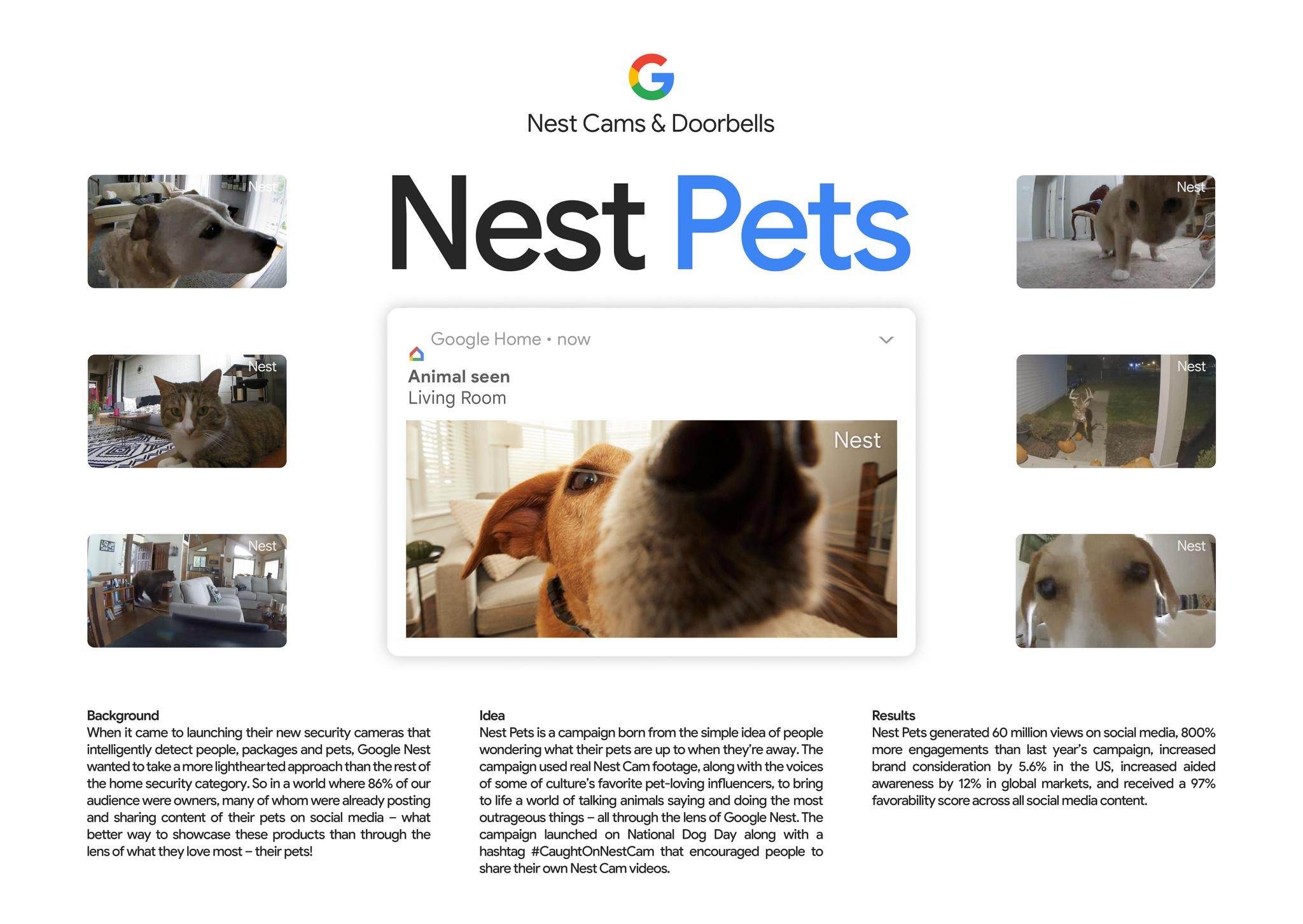 Nest Pets Campaign 