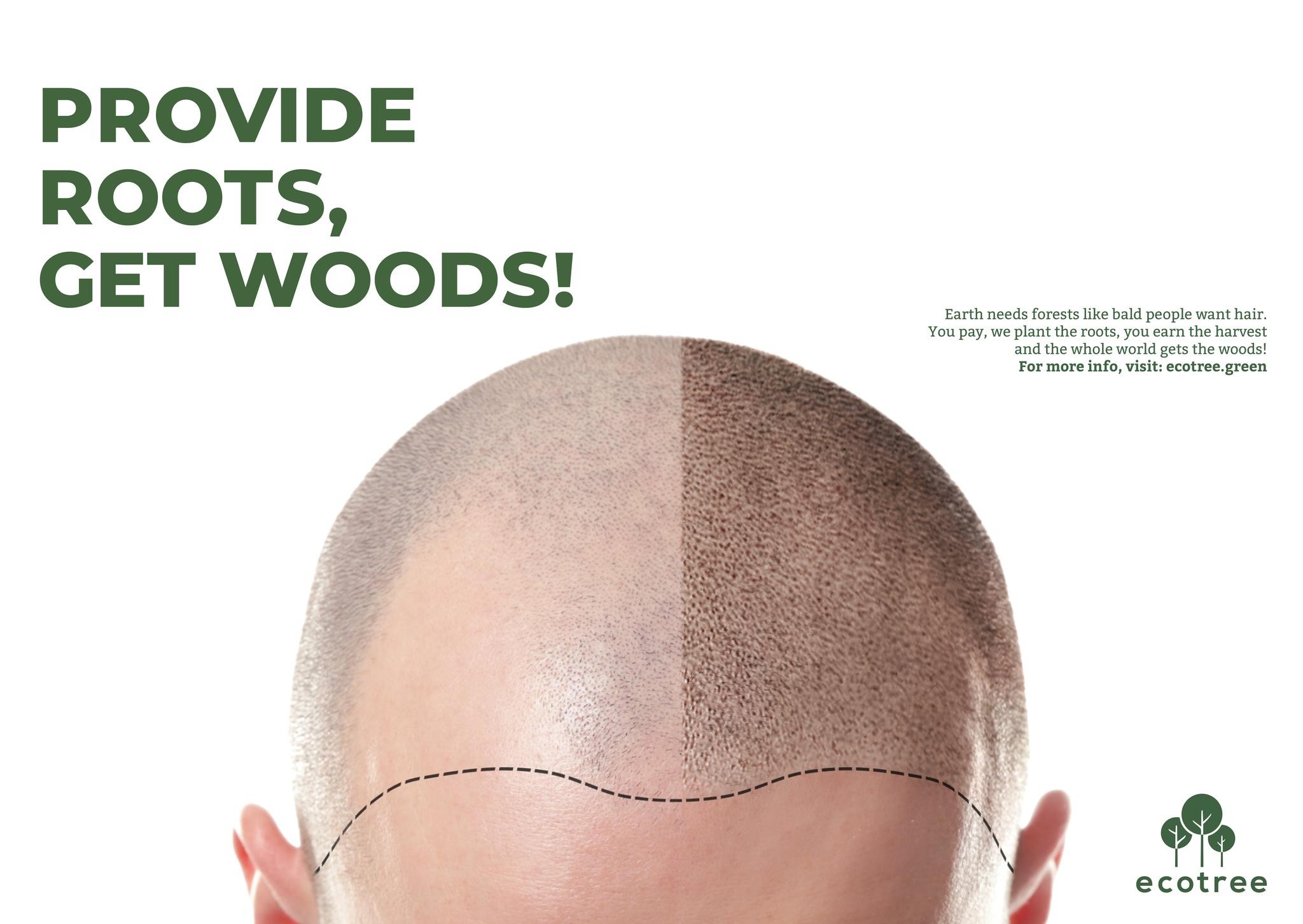 Provide Roots, Get Woods!