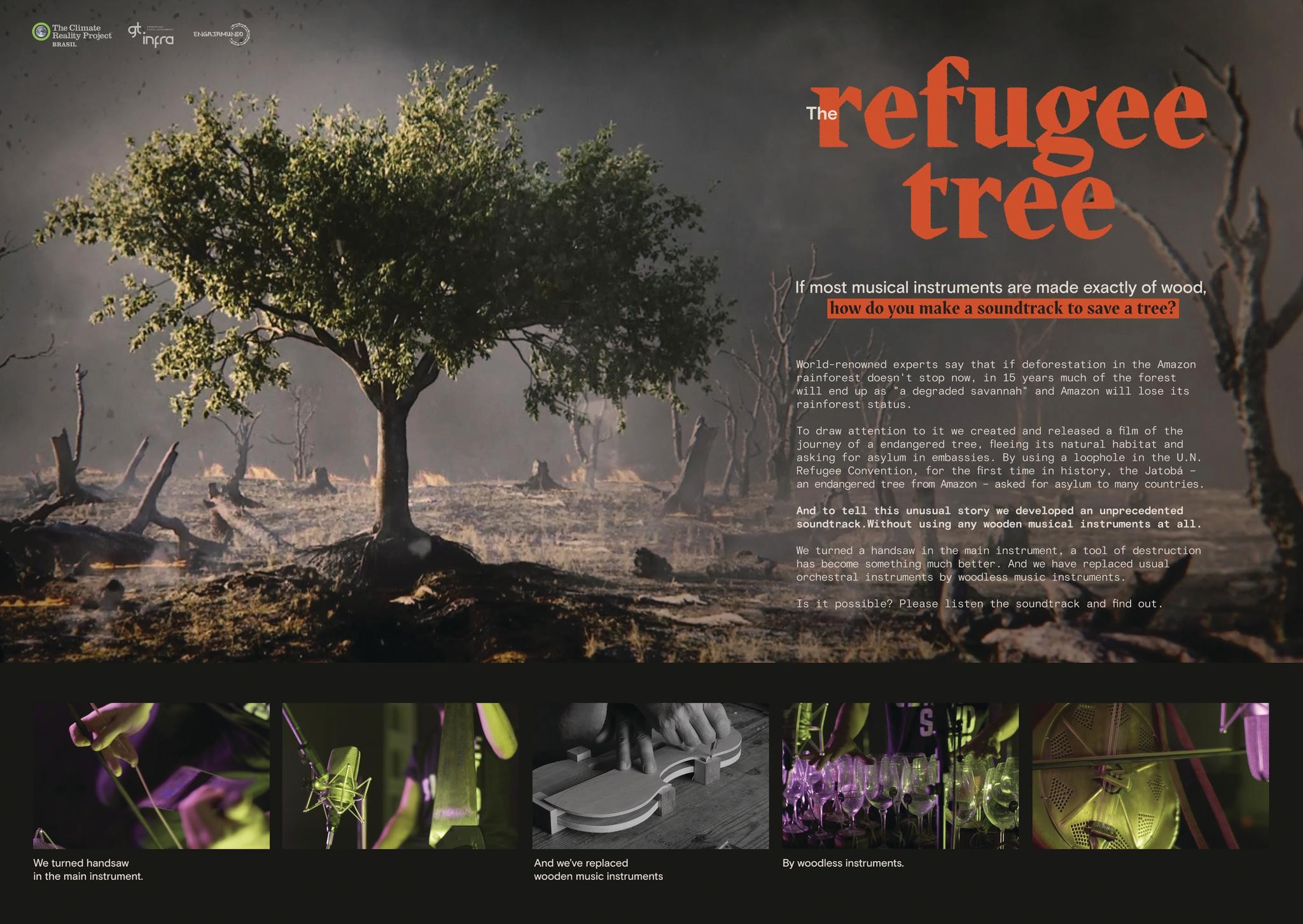 Refugee Tree