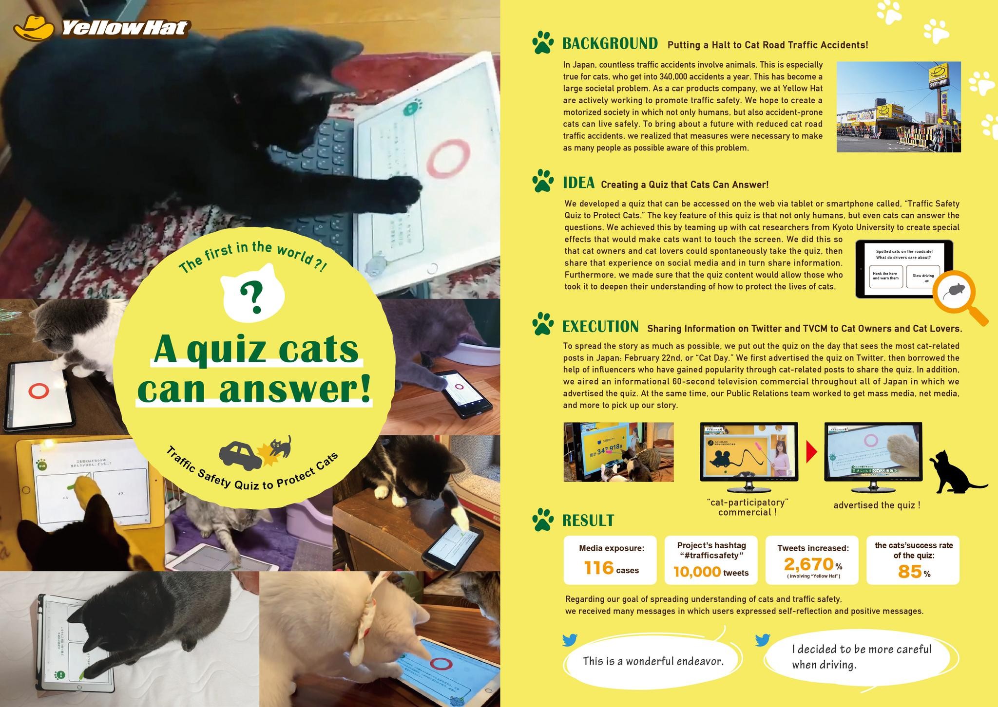 A quiz cats can answer!