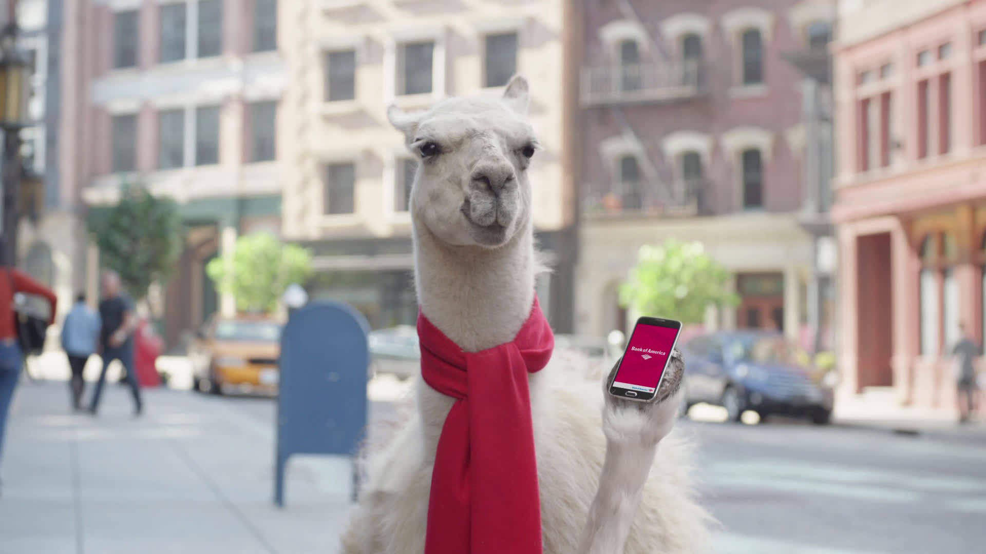 Automated Banking - Llama Videos
