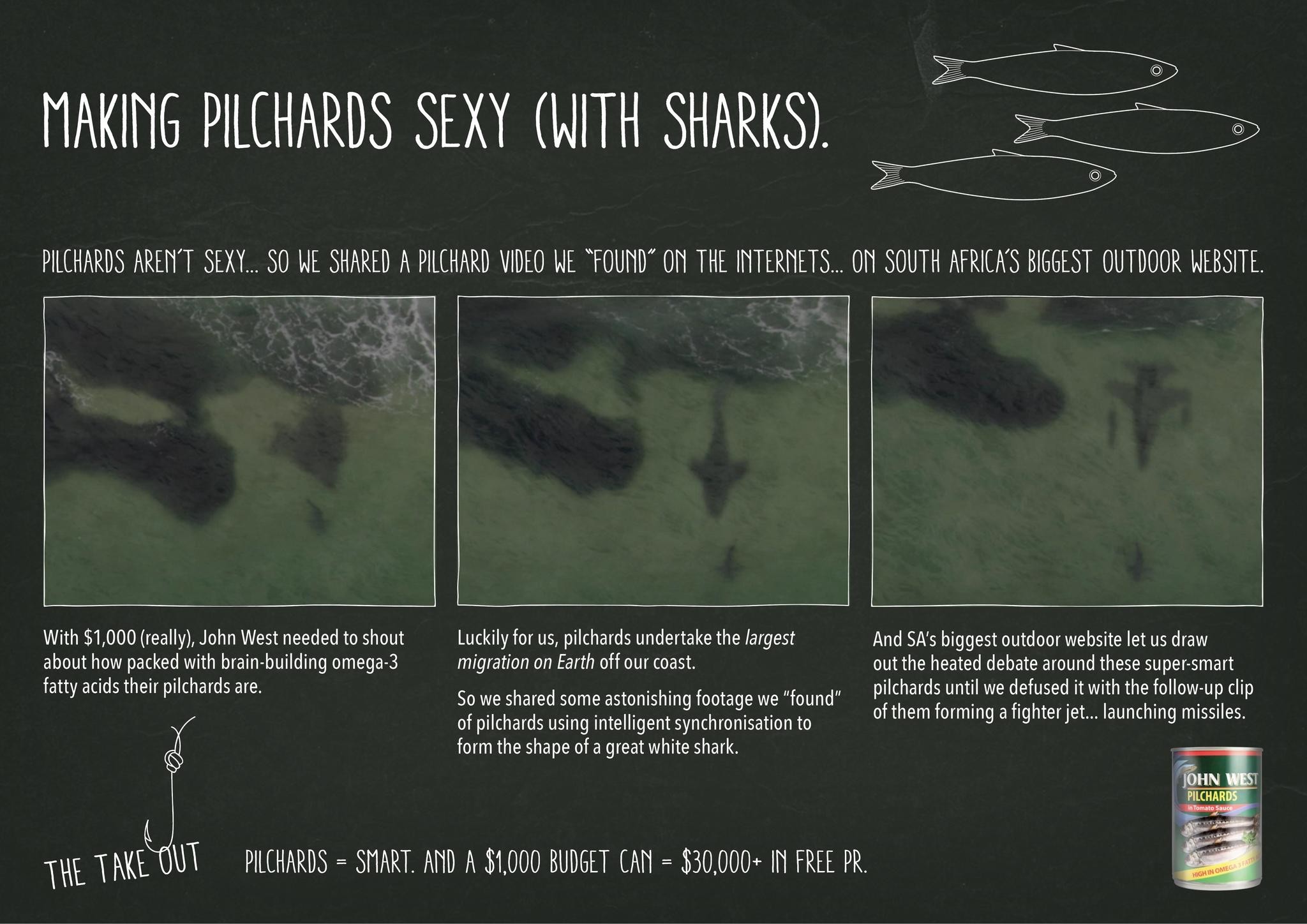 MAKING PILCHARDS SEXY (WITH SHARKS).