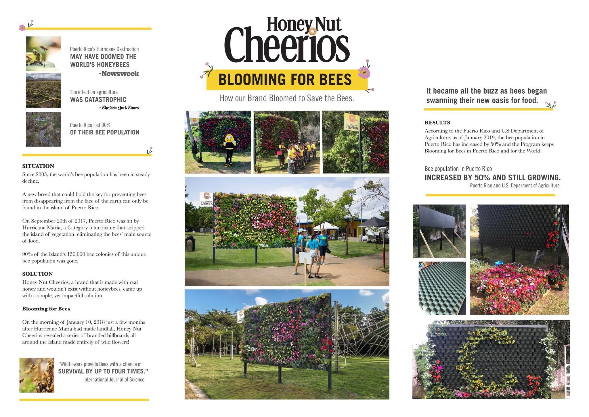 Blooming for Bees