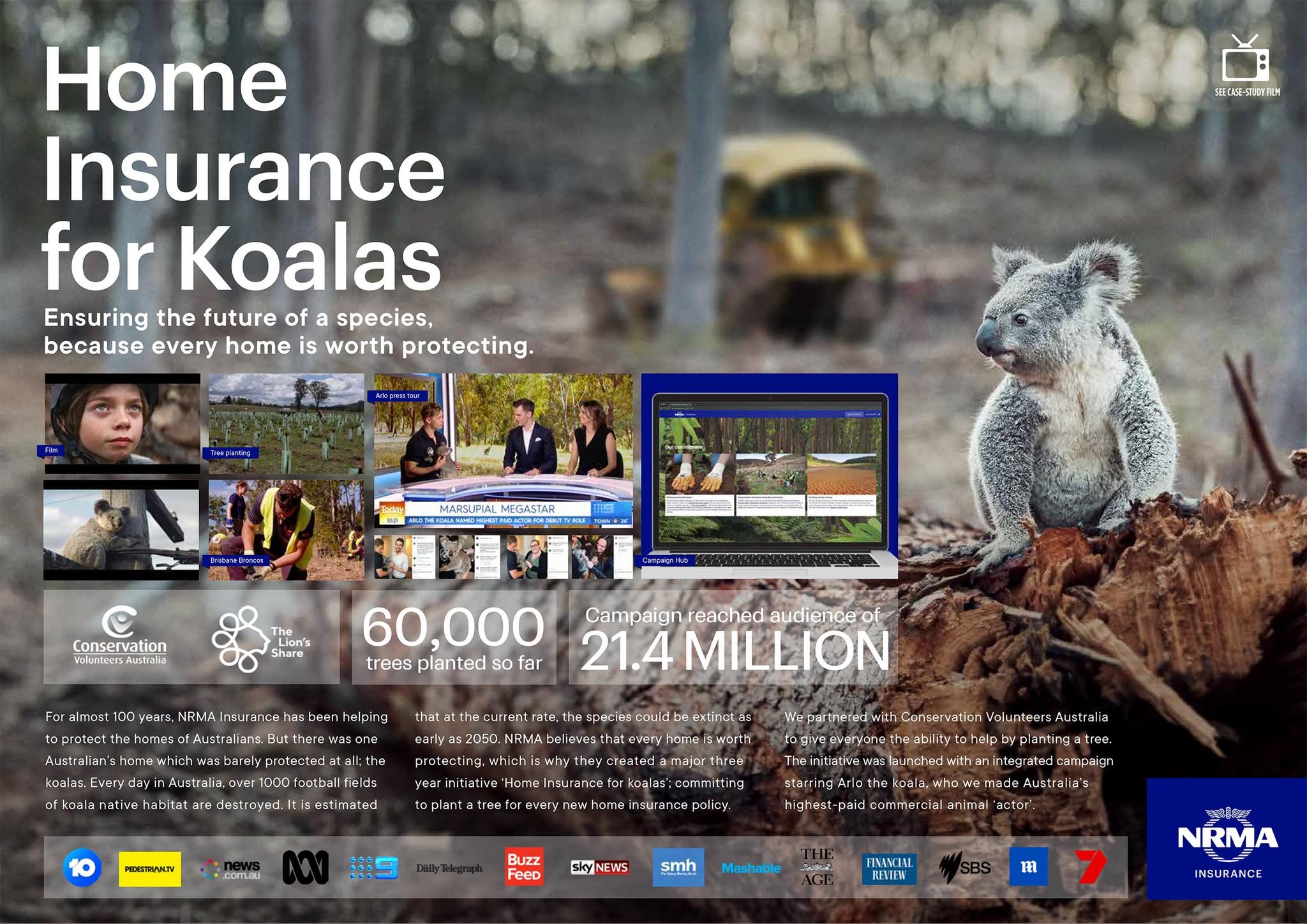 Home Insurance for Koalas / Arlo
