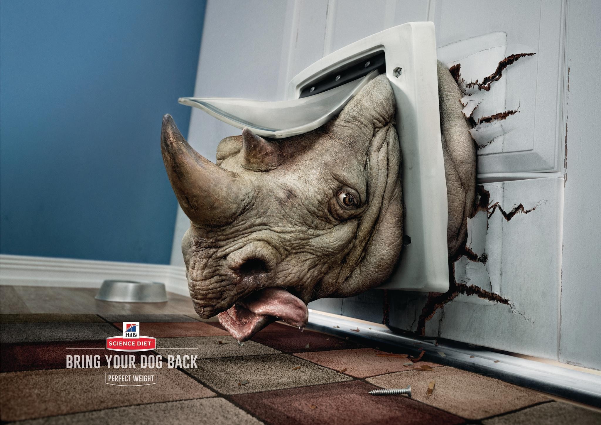 Bring Your Pet Back - Rhino