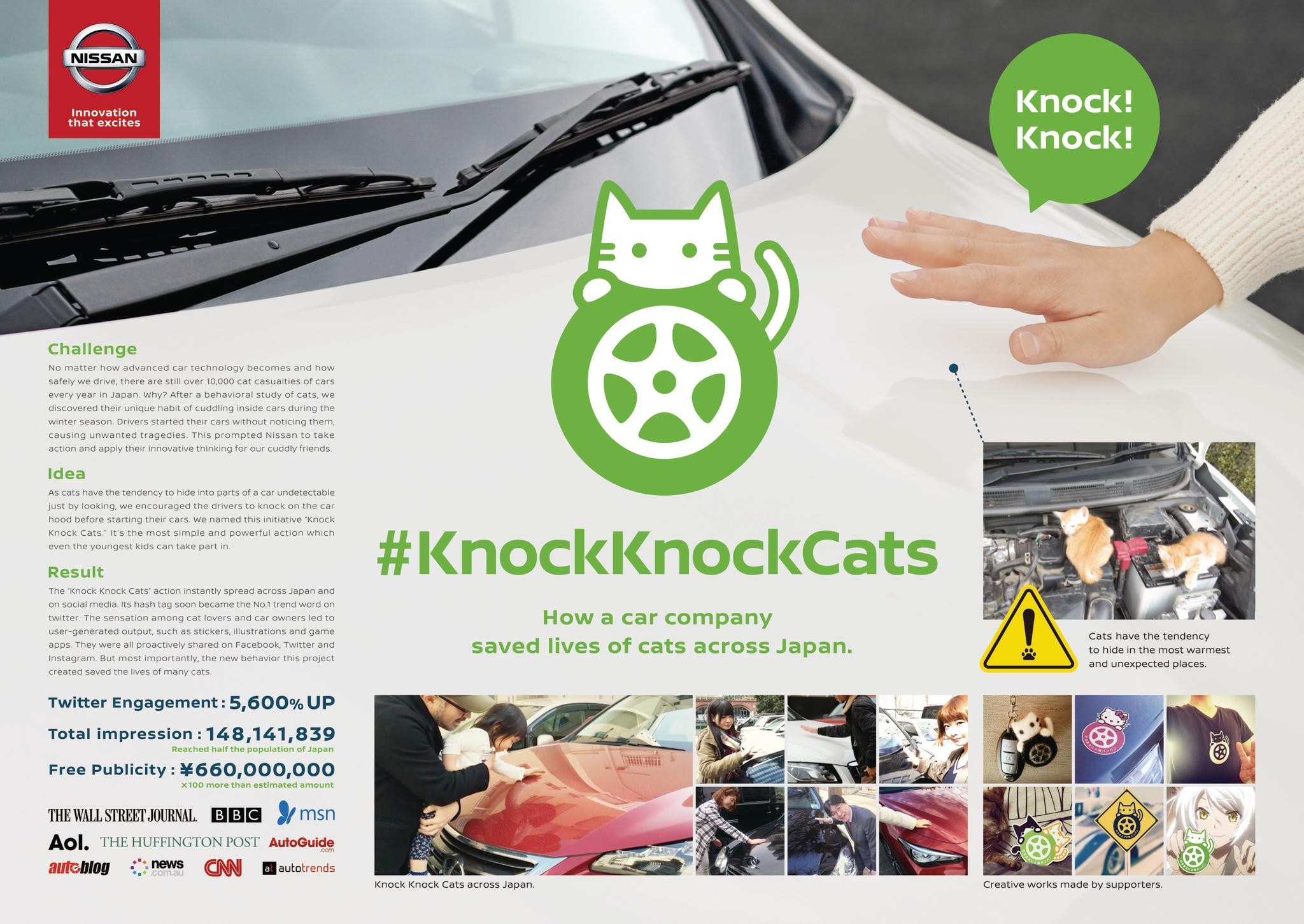 Knock Knock Cats Project