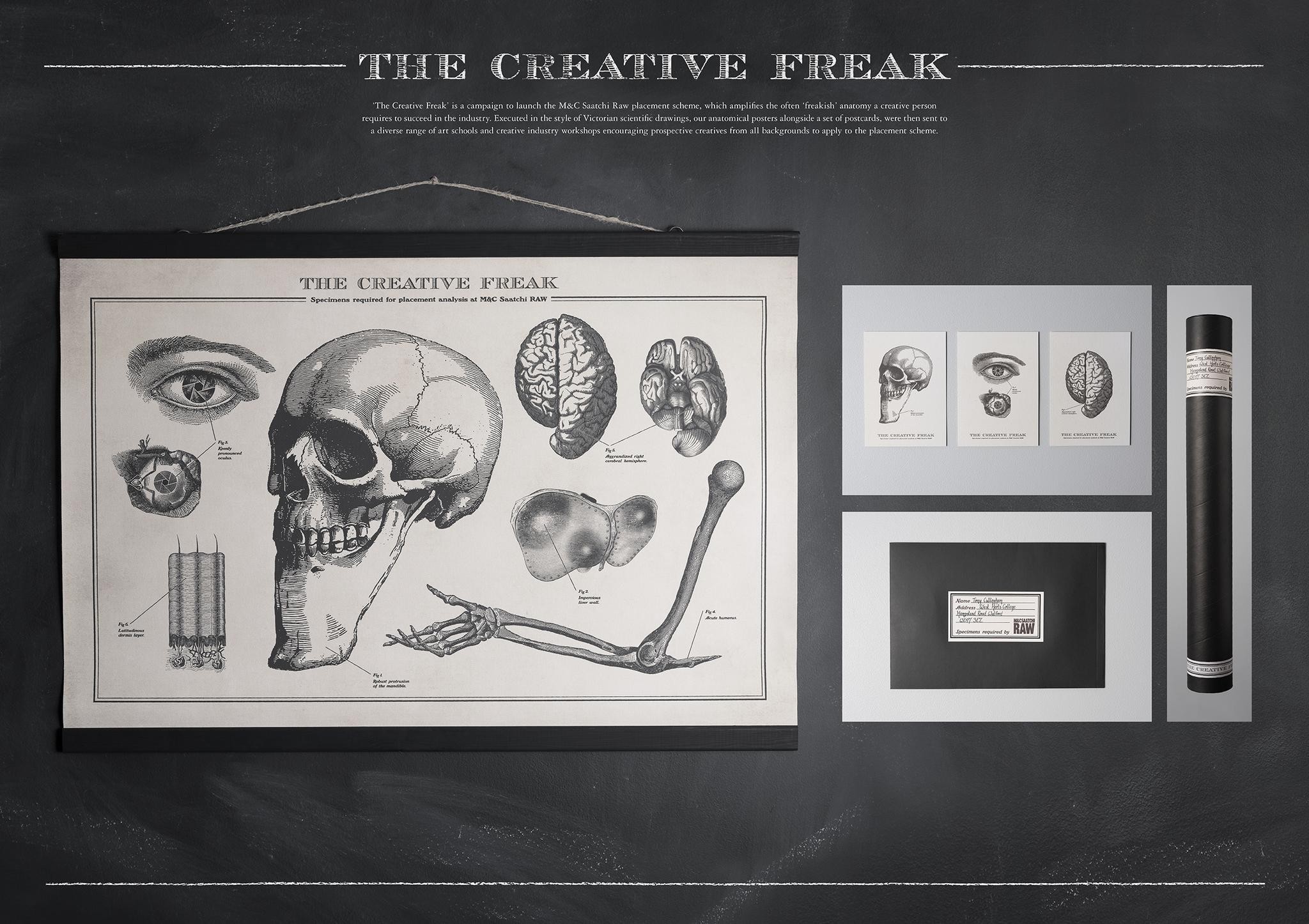 Creative Freak