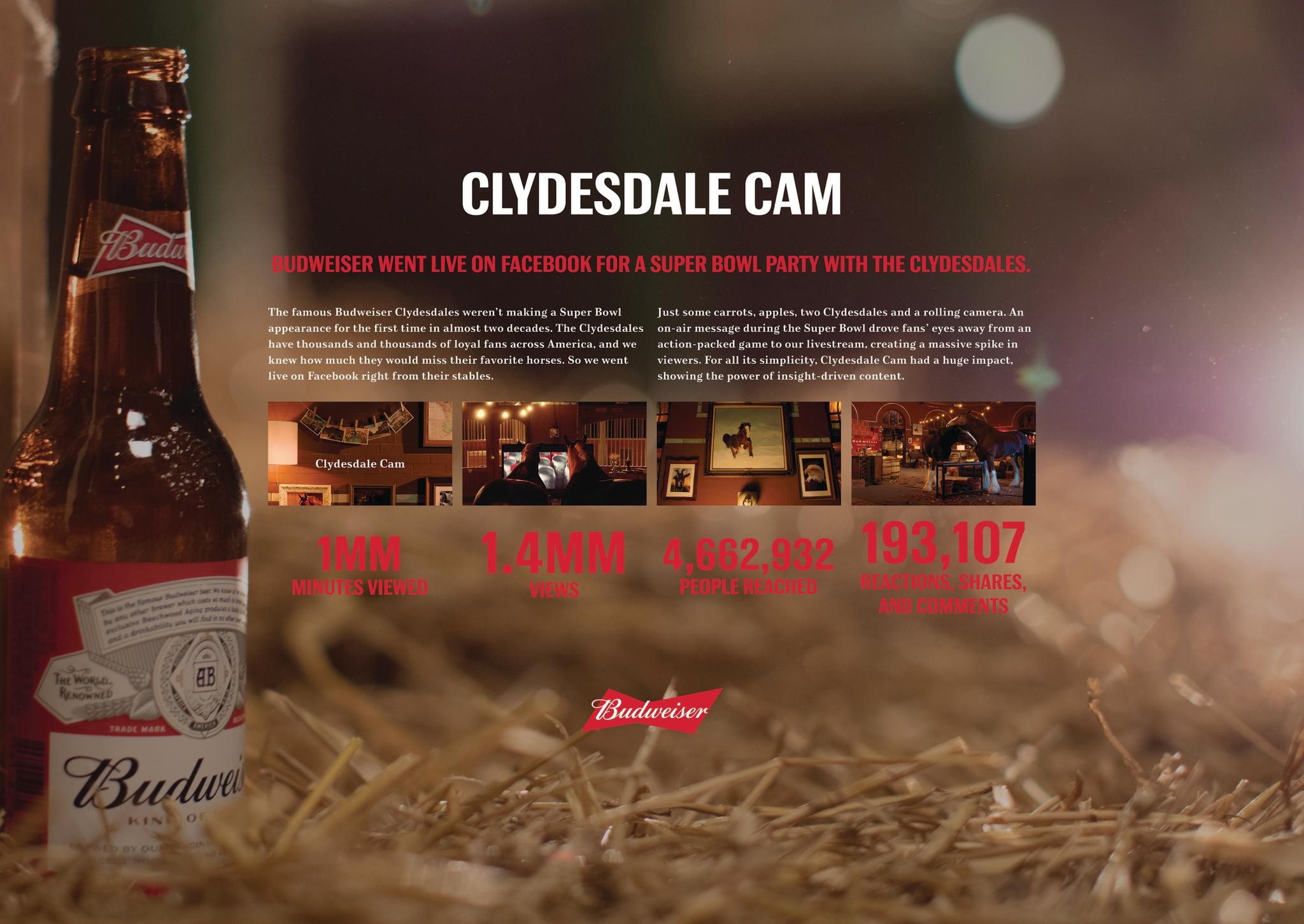Budweiser: Clydesdale Cam