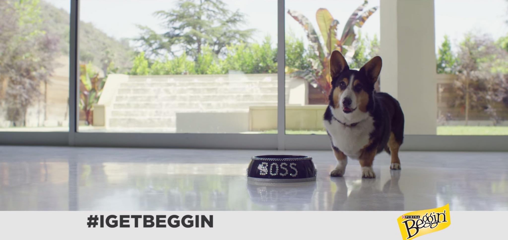 BEGGIN' 2015 GRAMMYS CAMPAIGN: I GET BEGGIN'