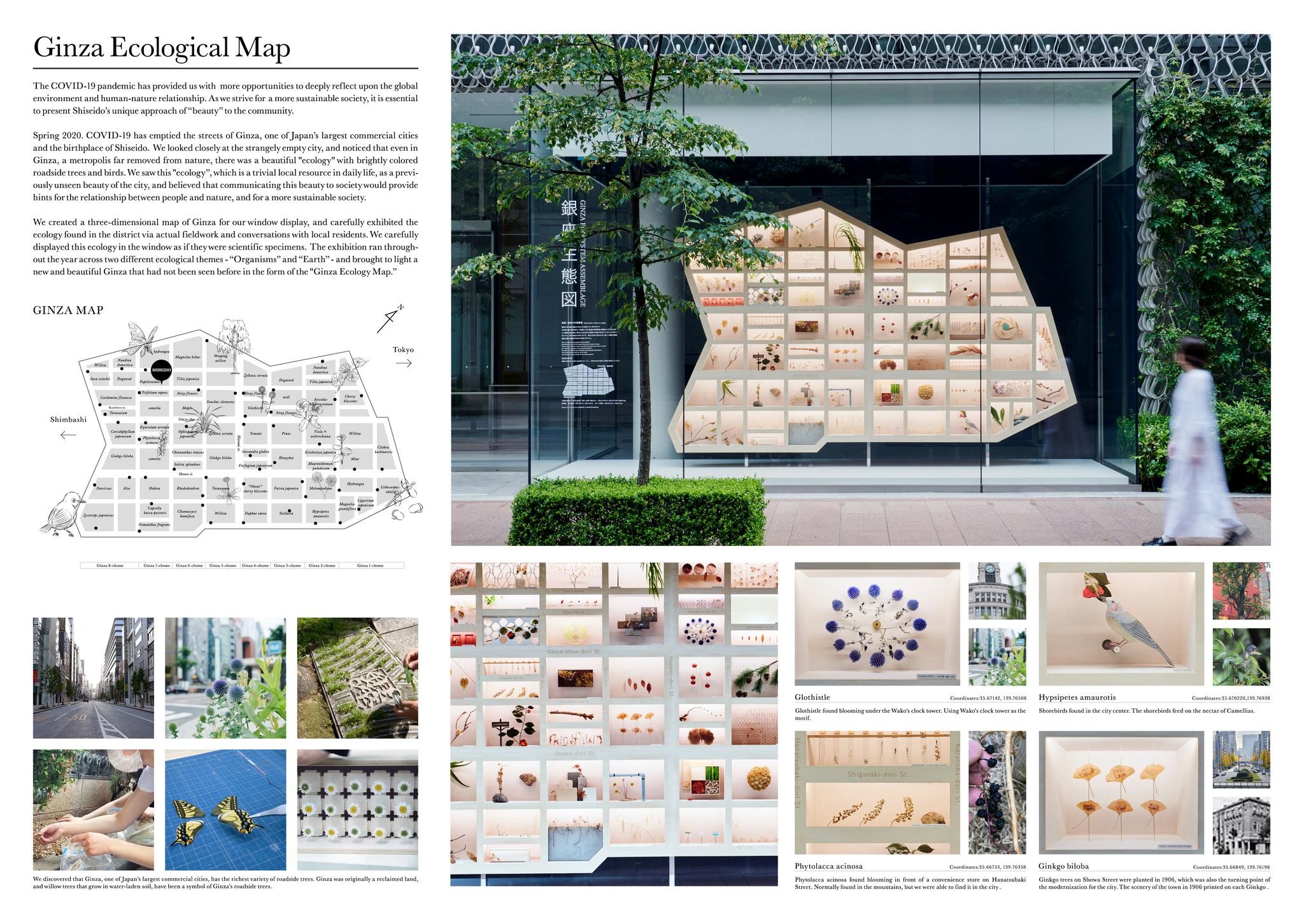 Ginza　Ecological　Map