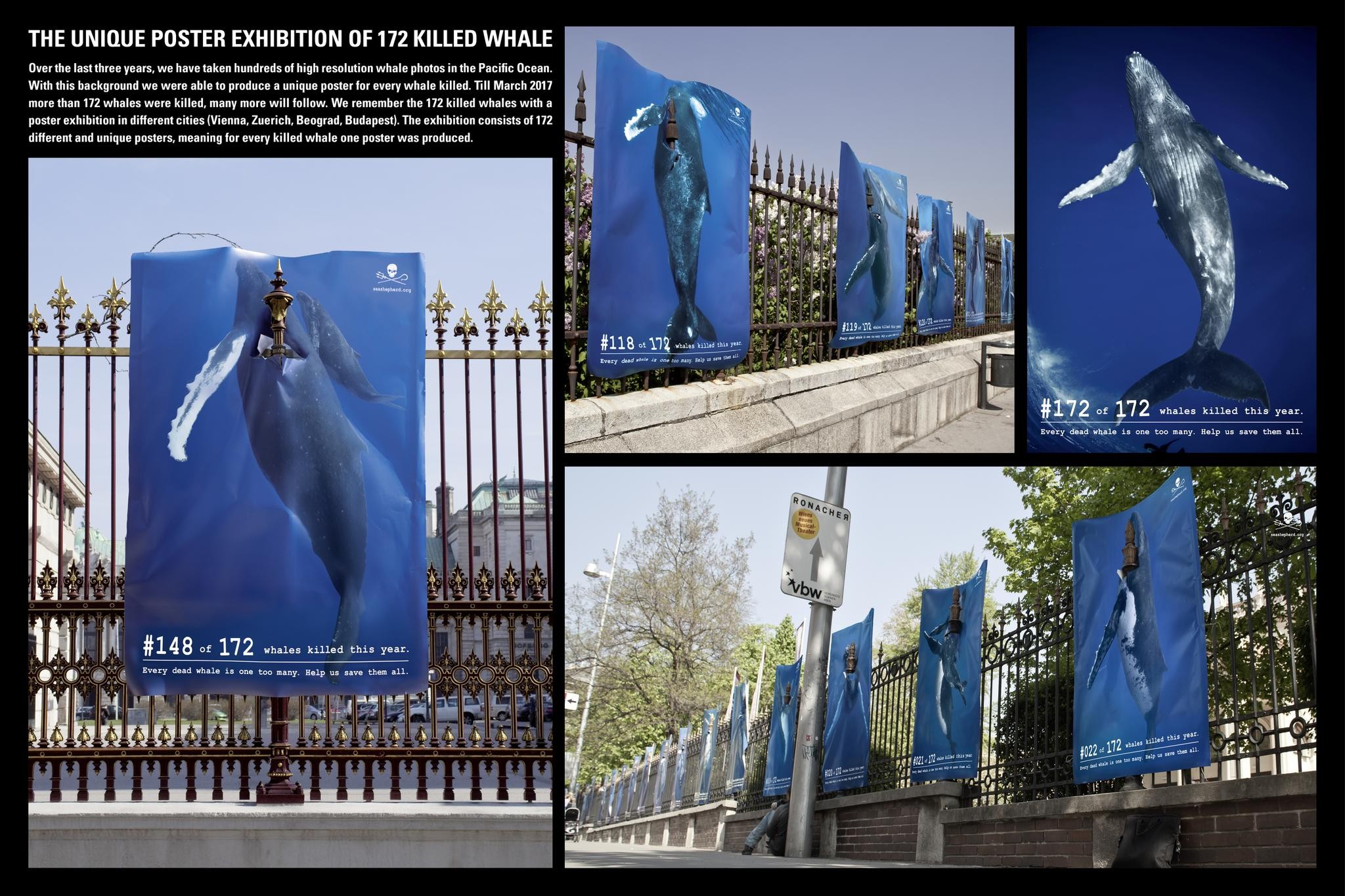 172 UNIQUE POSTERS FOR 172 KILLED WHALES