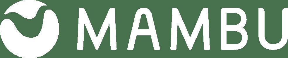 Mambu Payments (formerly Numeral)